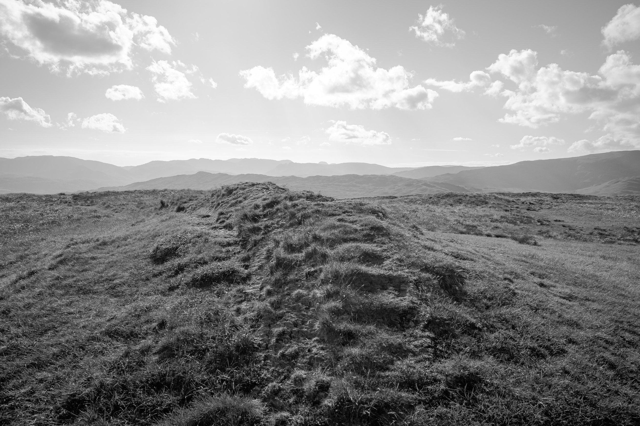 Monochrome Summit | Sallows