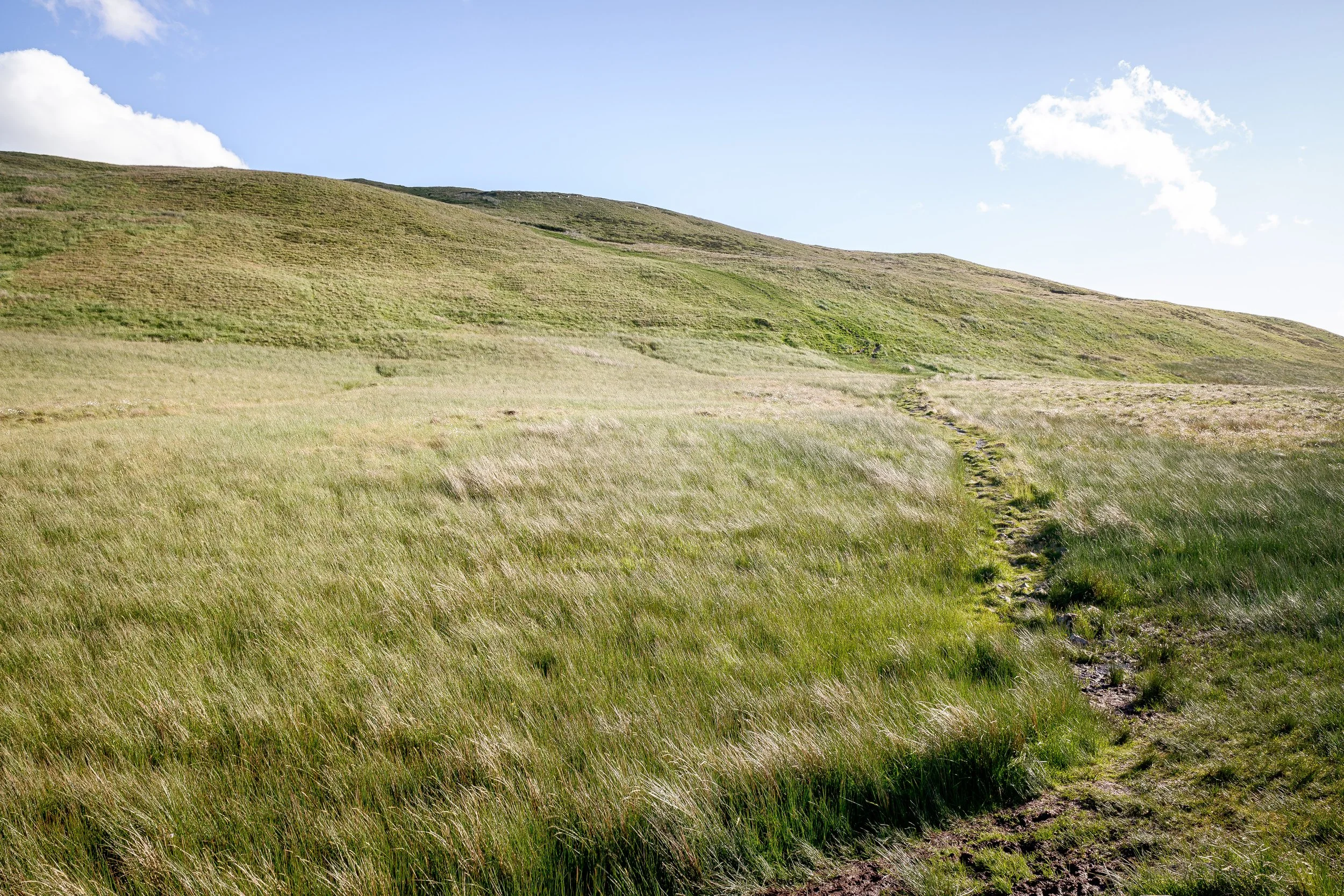 Path from the Garburn Pass | Sallows