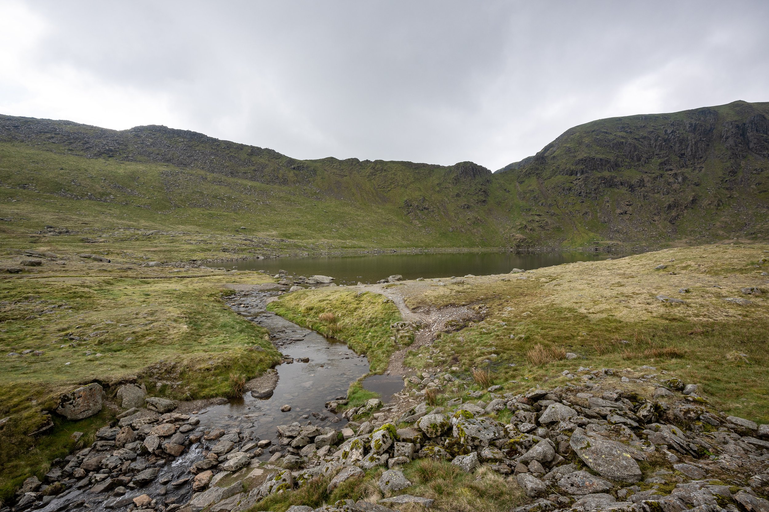 Murky Morning | Catstycam