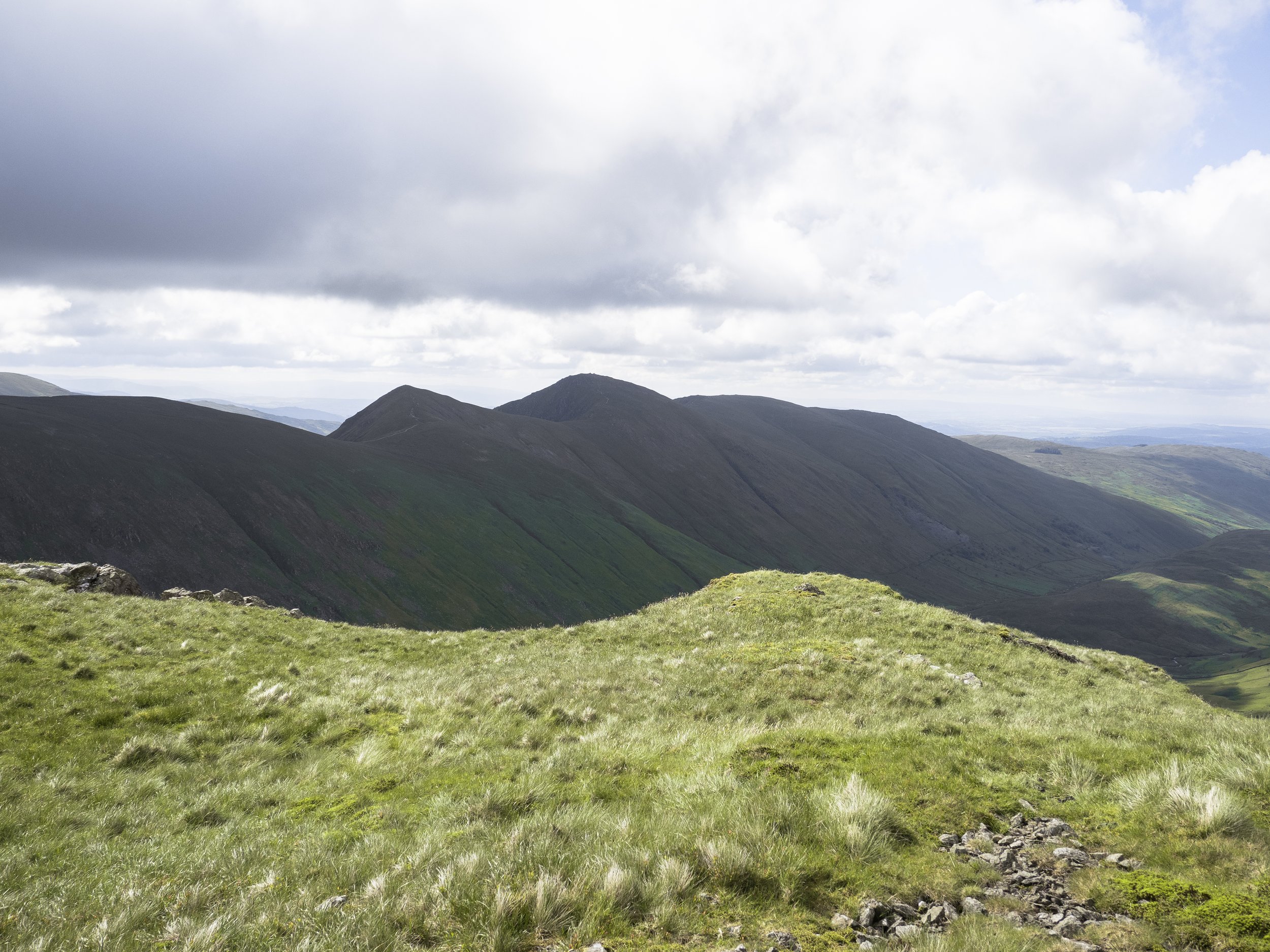 Morning Contrasts in Summer | Caudale Moor