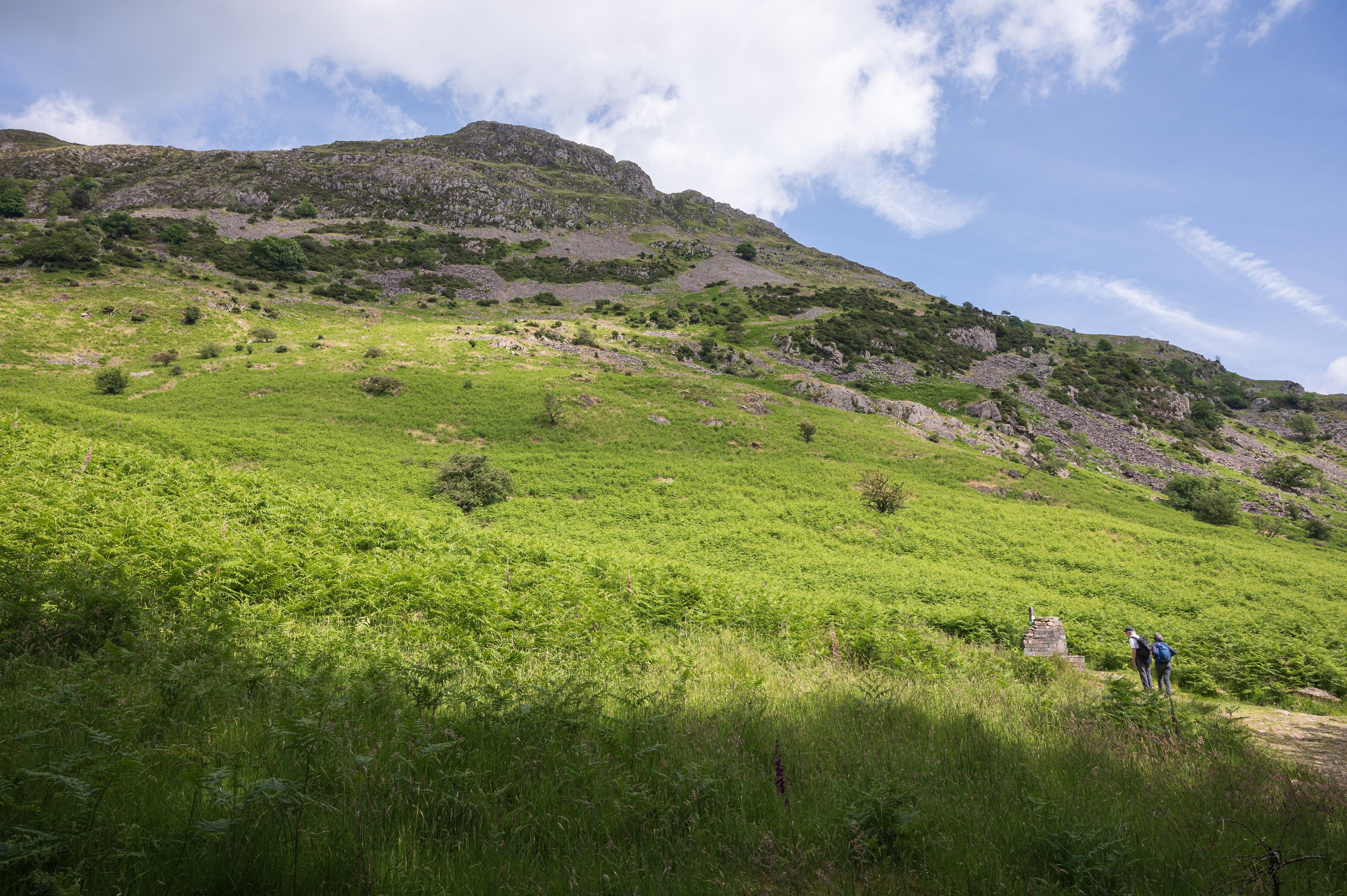 Beneath the West Face | Place Fell