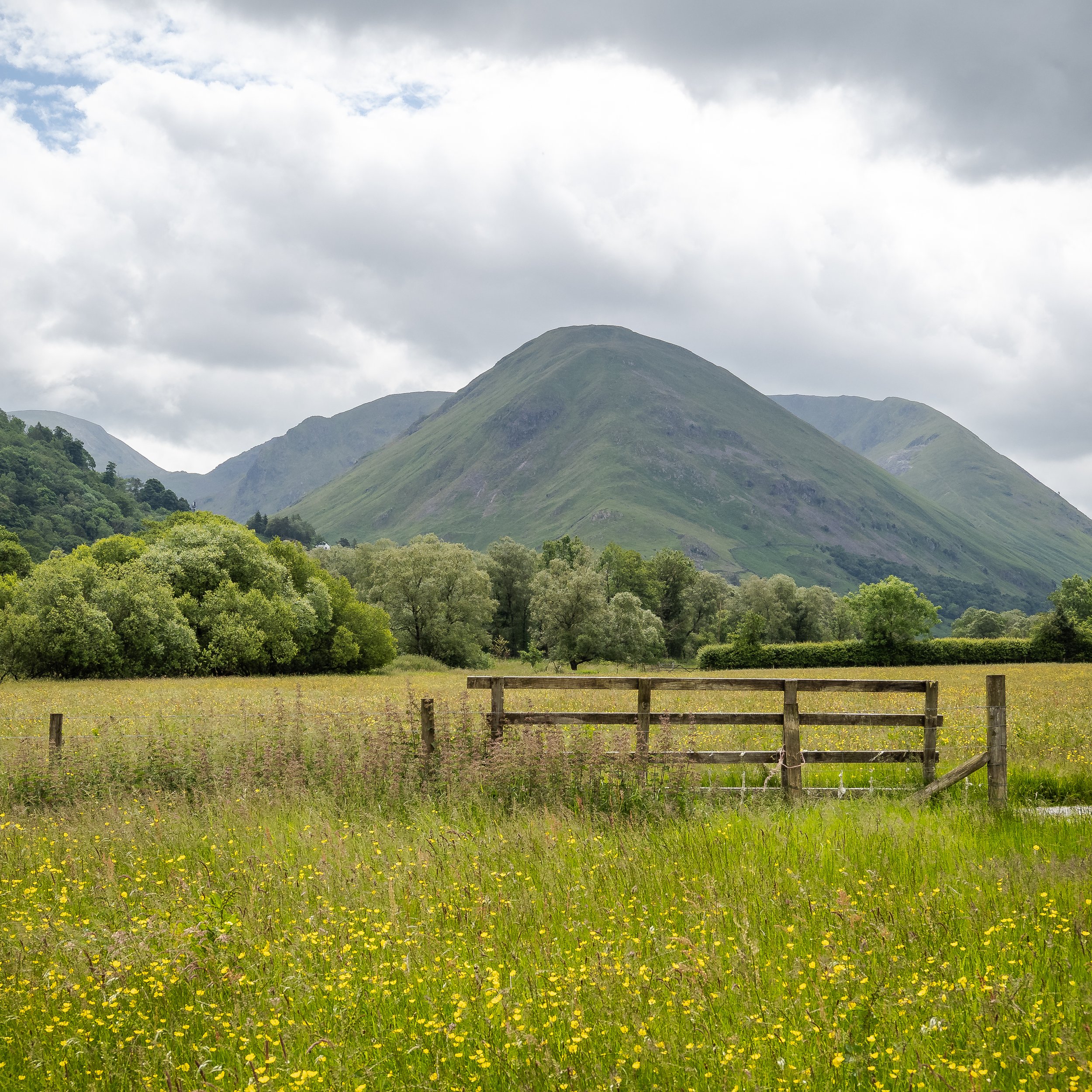 Summer Field View II | Hartsop Dodd