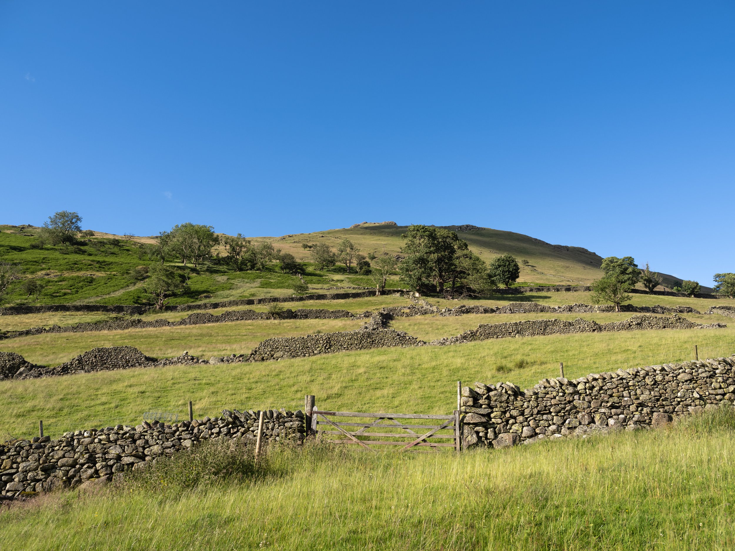 Gate in Summer Evening Light | Brock Crags