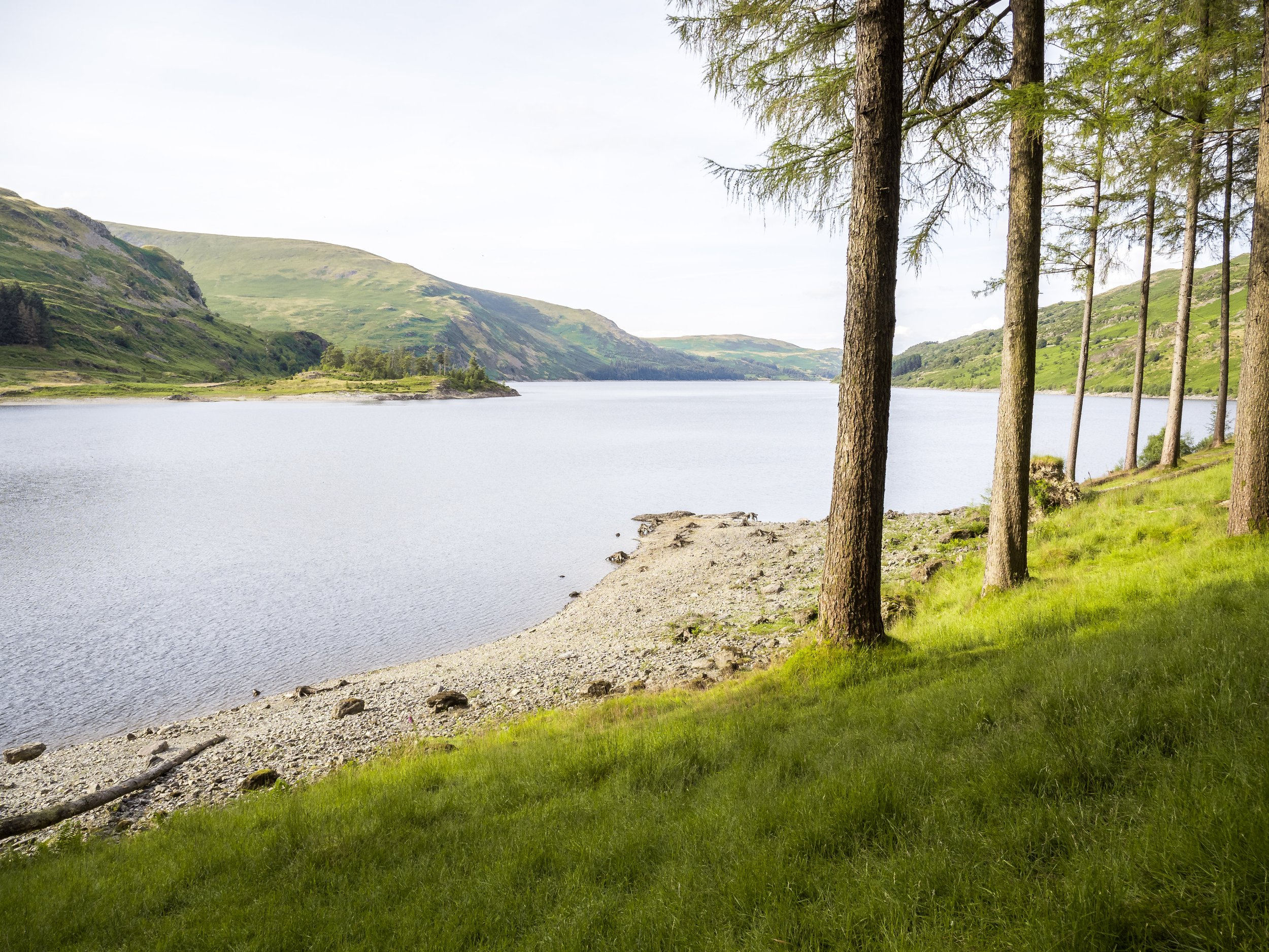 Trees and Haweswater | High Street