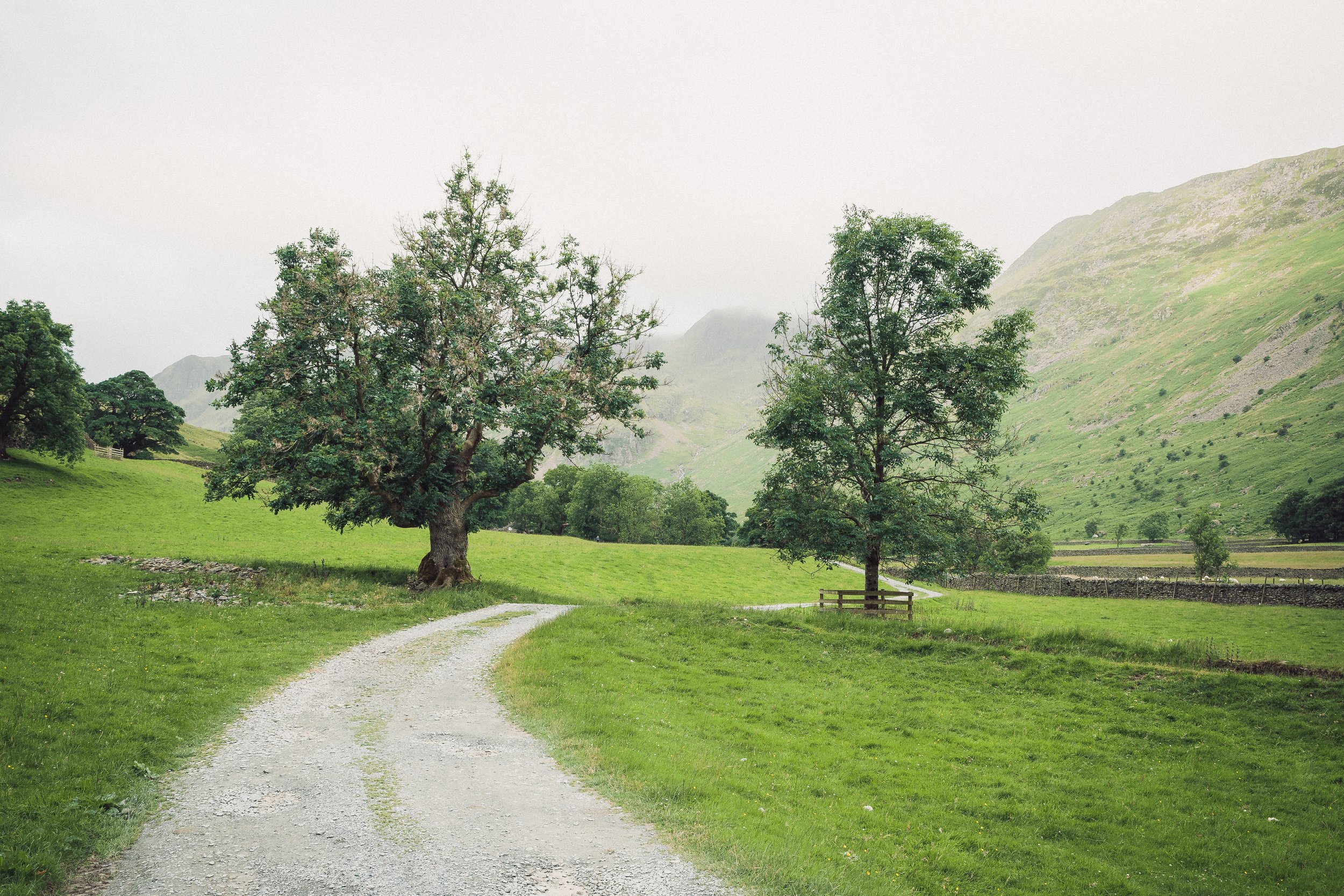 Hazy Start in Summer | Nethermost Pike