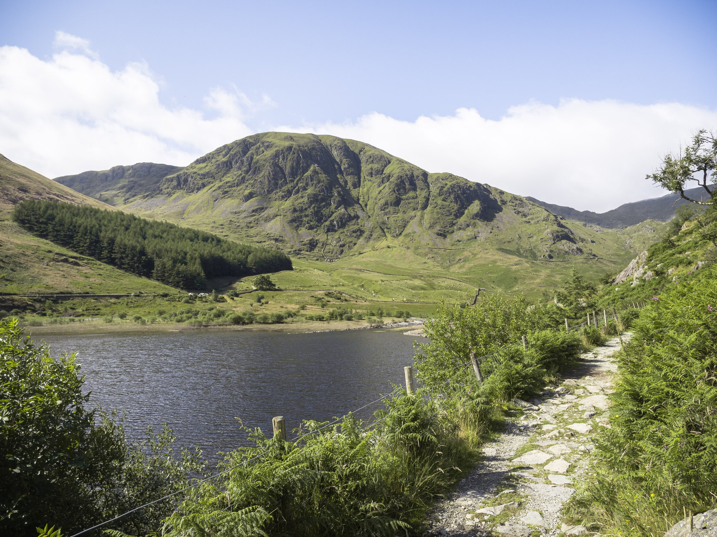 Fell View with Mardale Head | Harter Fell