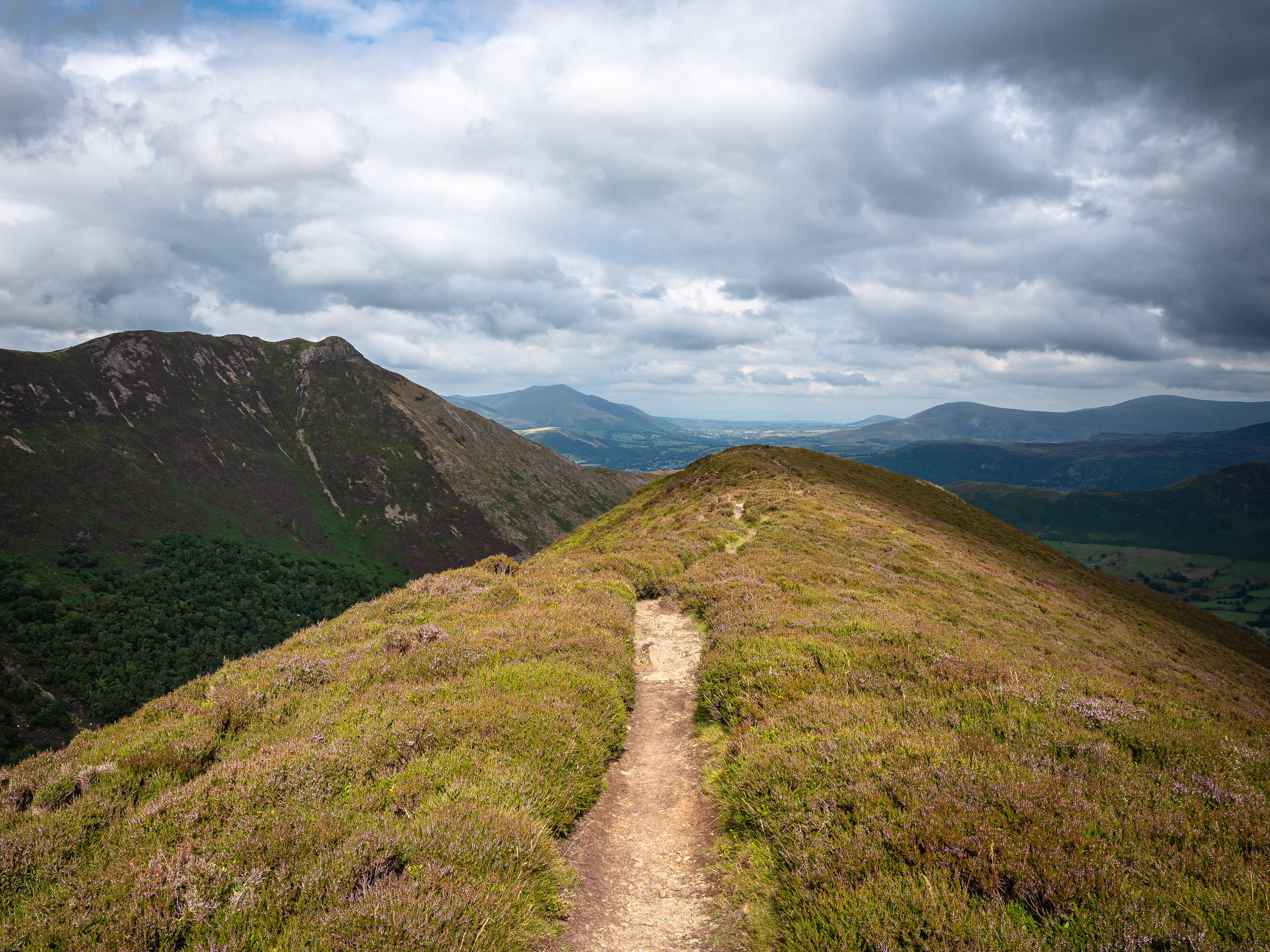 Summer Path with Causey Pike | Ard Crags