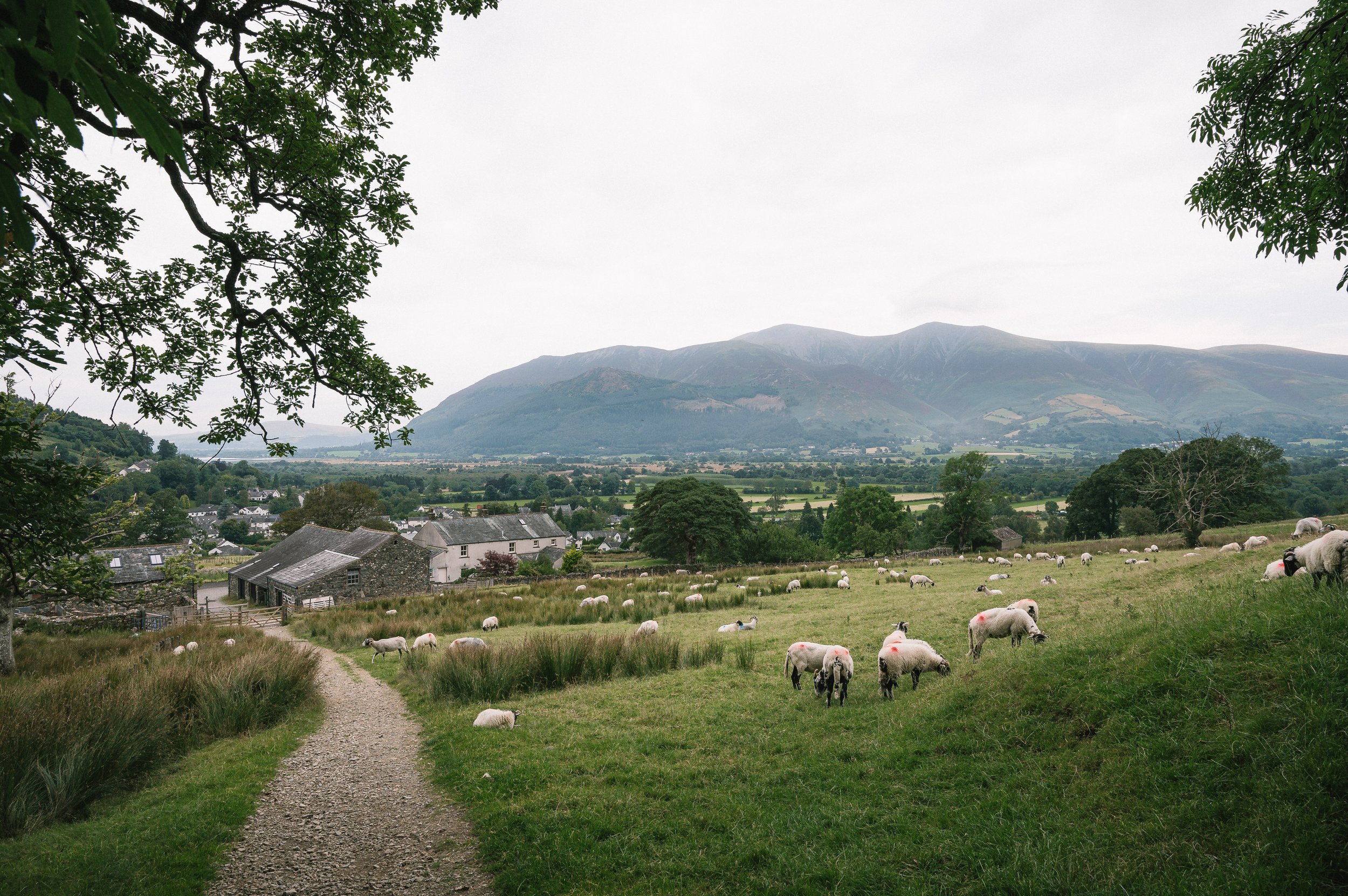 Looking to the Farm | Barrow