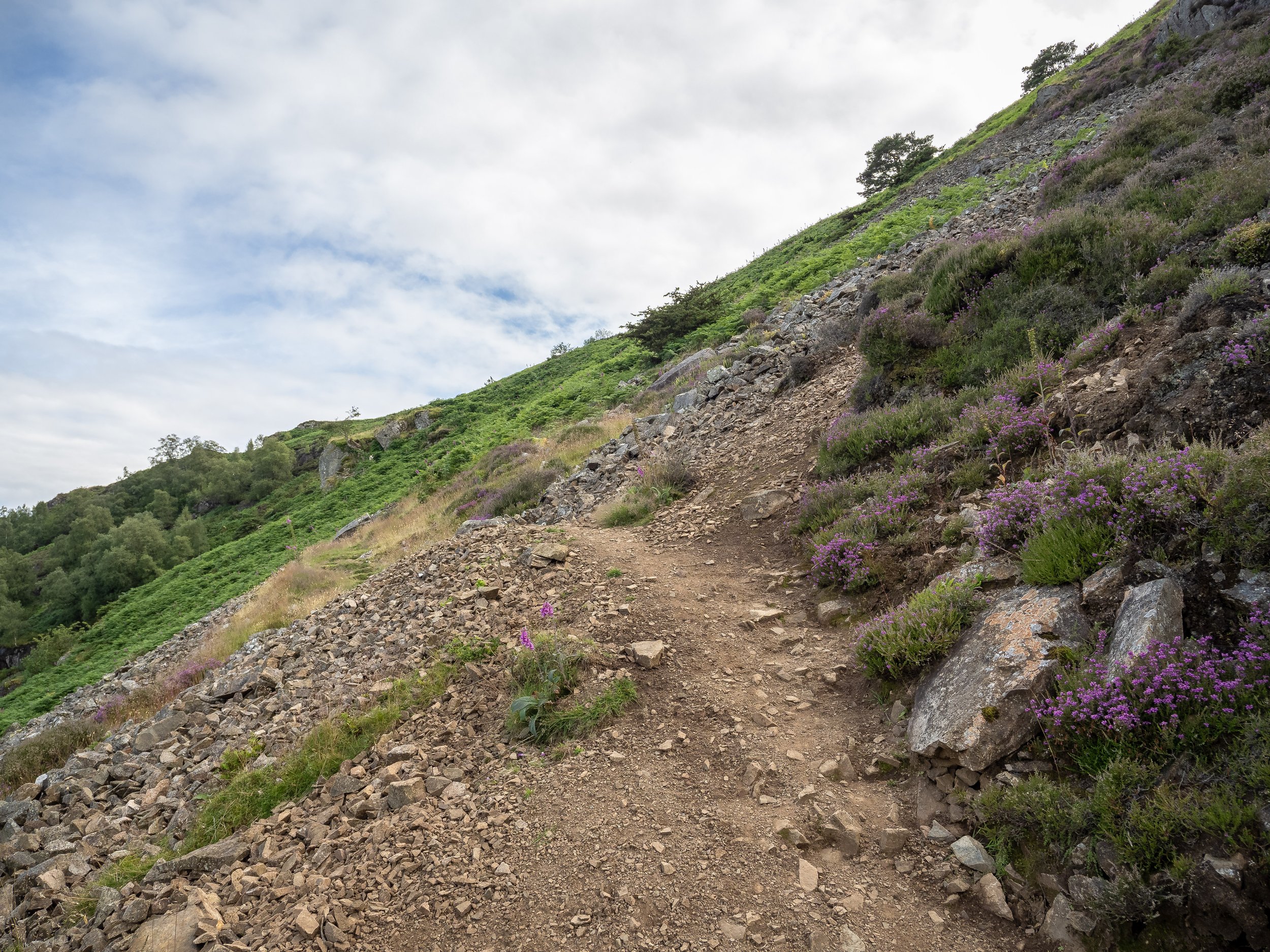 Path from Valley | Carrock Fell