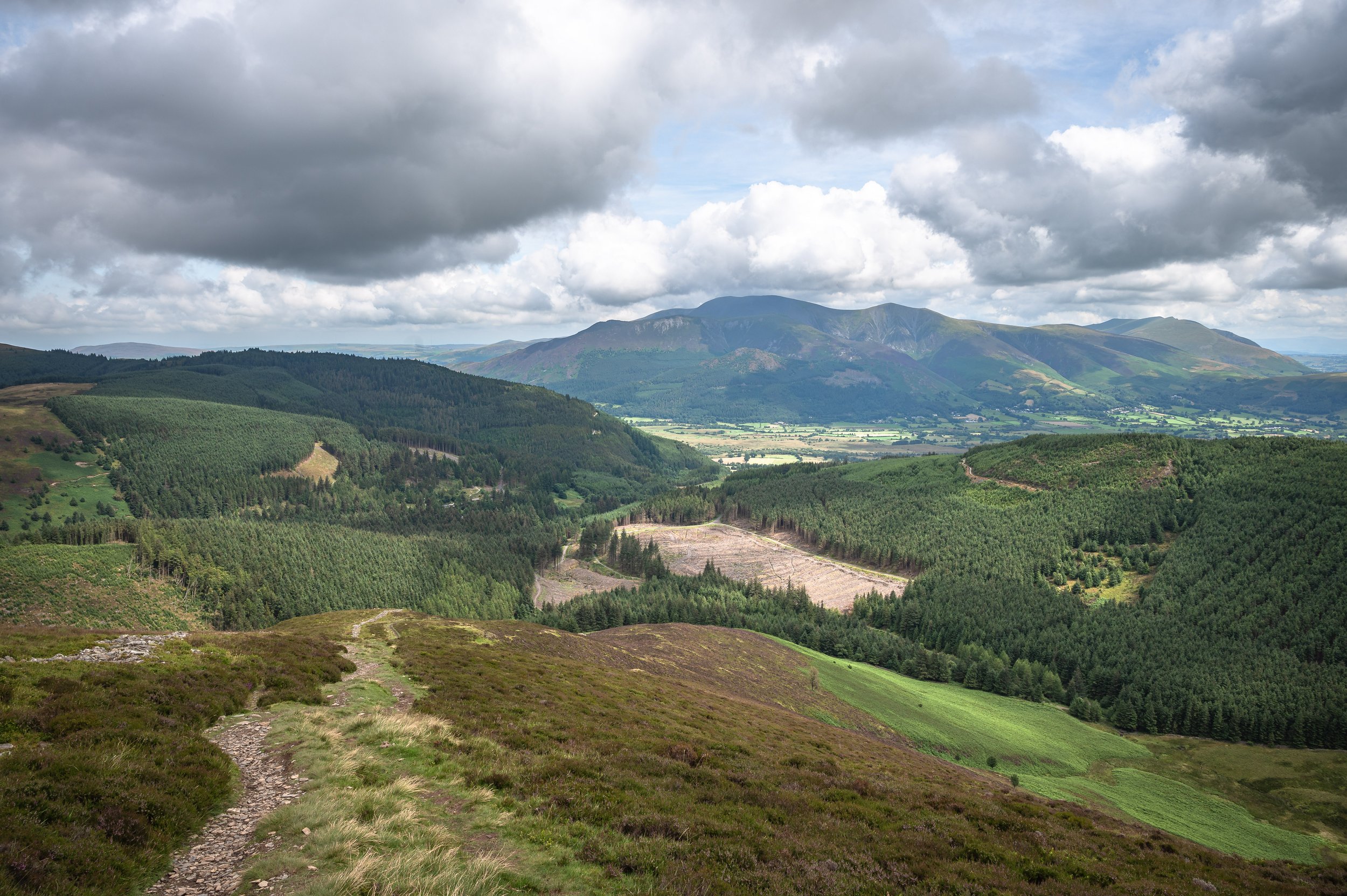 Looking North from Summit Slopes | Grisedale Pike