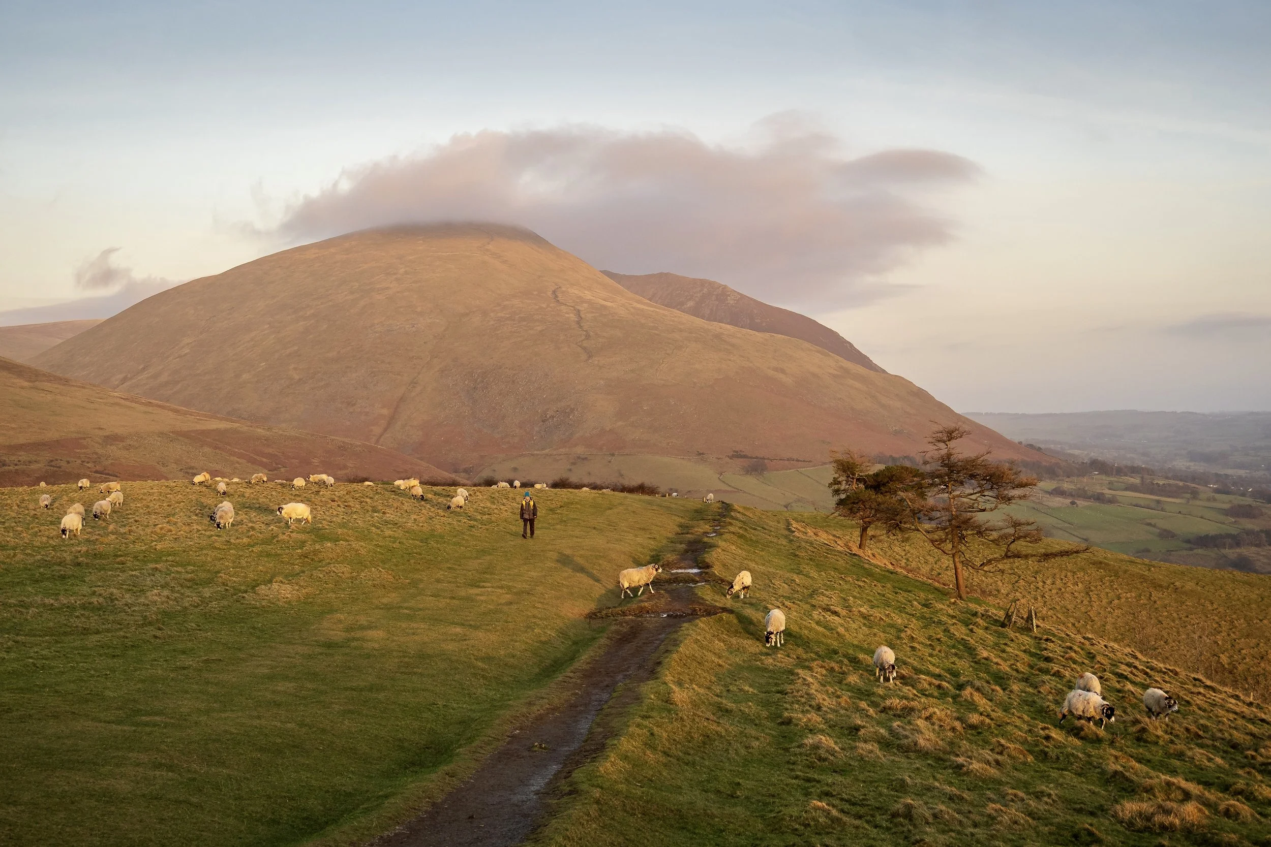   Dusk Light on Latrigg  | Landscape 