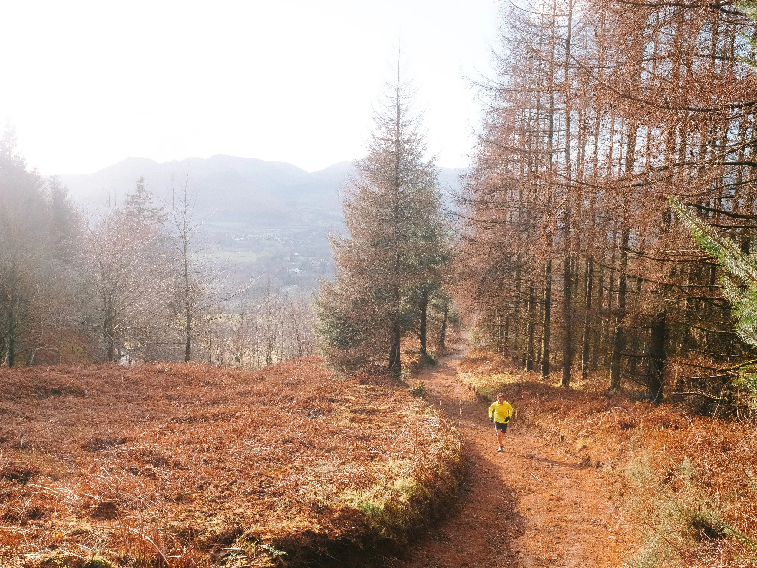 1a. Latrigg Runner.jpg