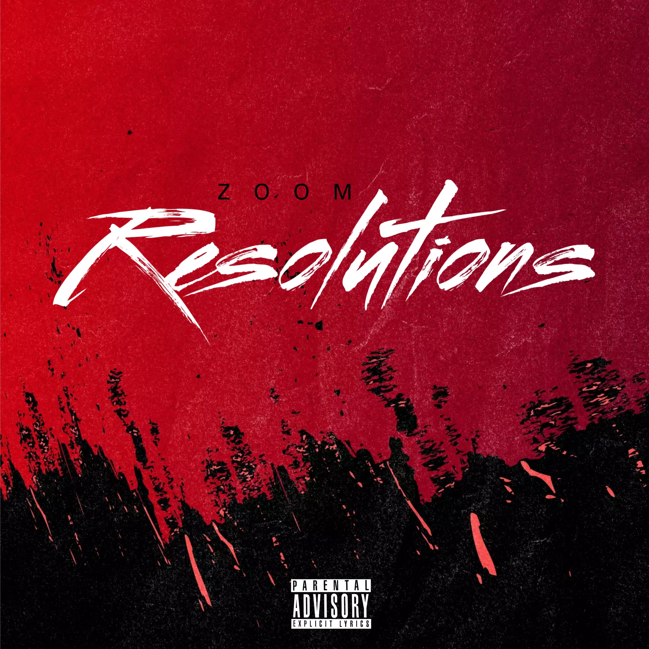 Zoom - Resolutions cover.jpg