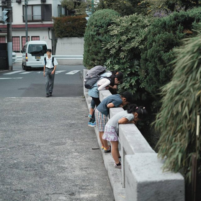 Kamakura.jpg
