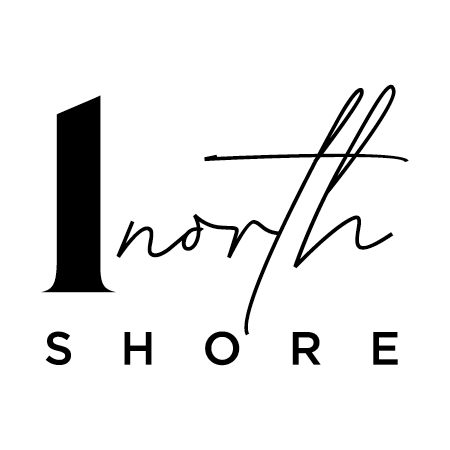 1NS Logo02.png