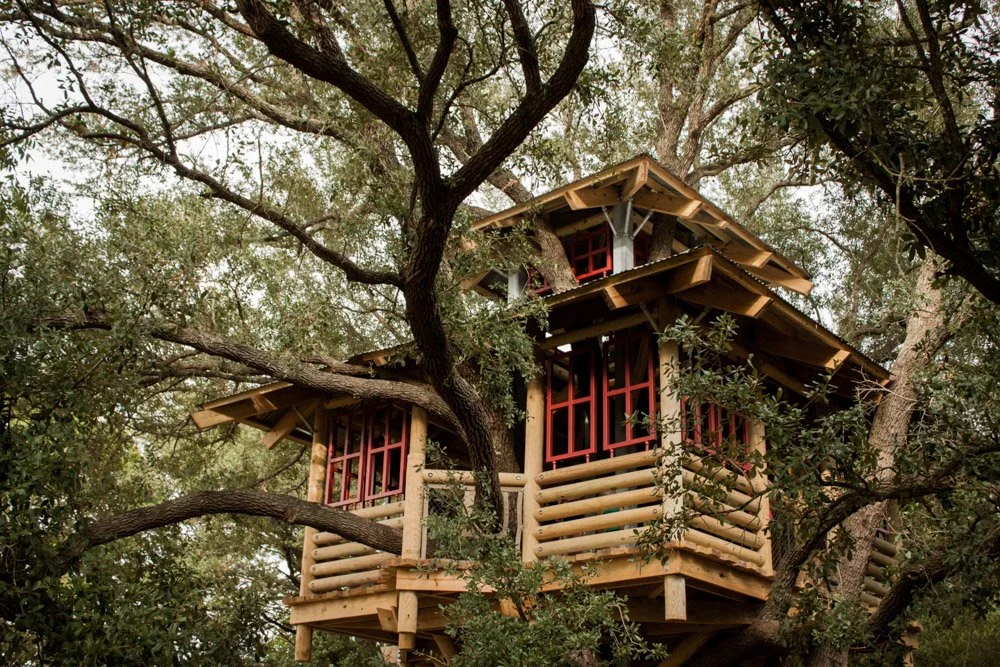 Tree House Park