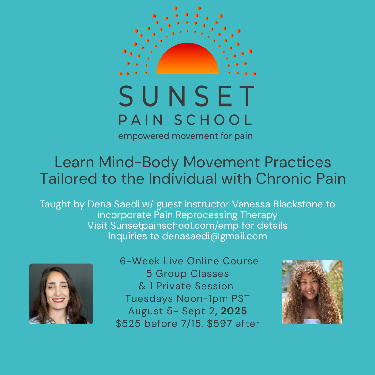 Pain Reset Course Online Courses with Dena Saedi — Sunset Pain School