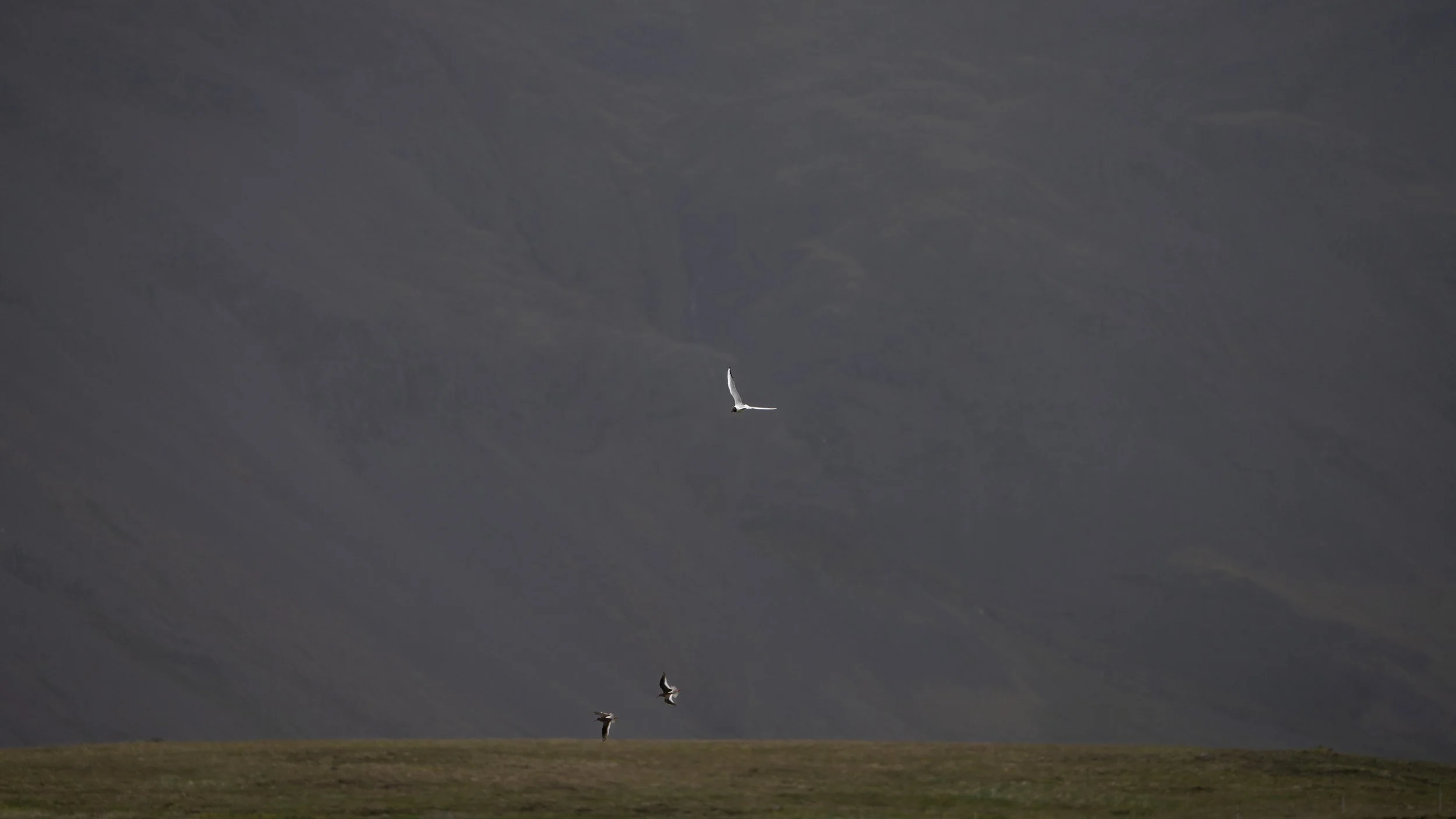 _SKY0119.jpg