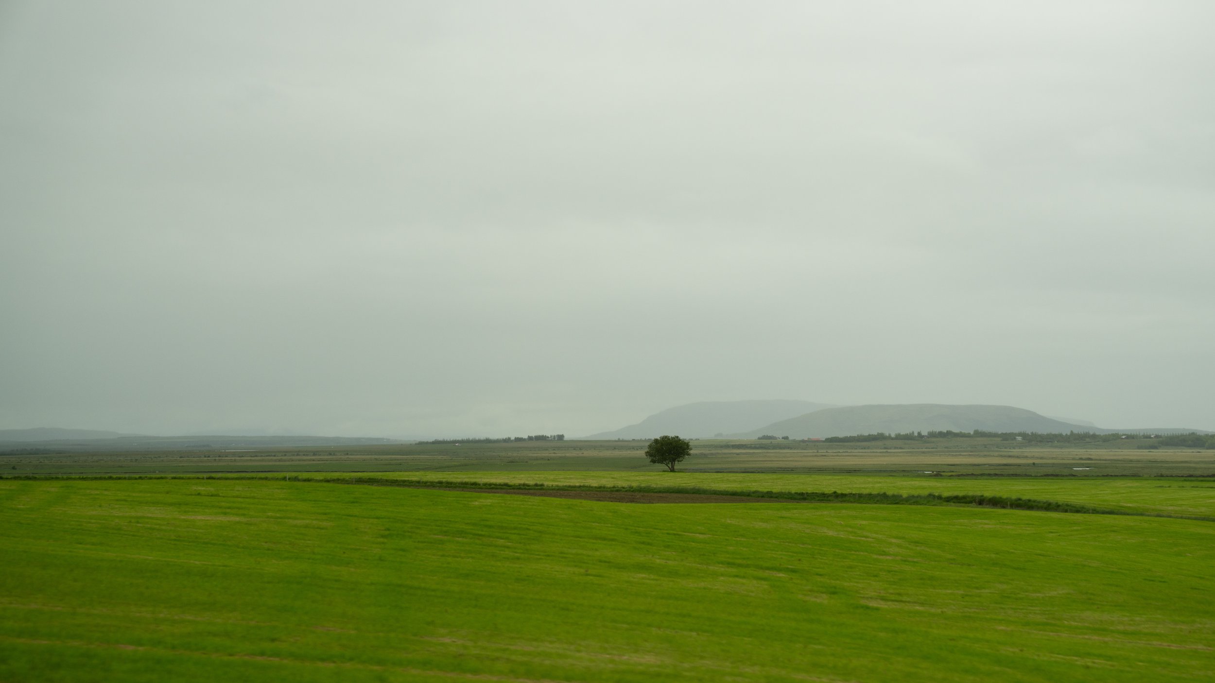 _SKY0373.jpg