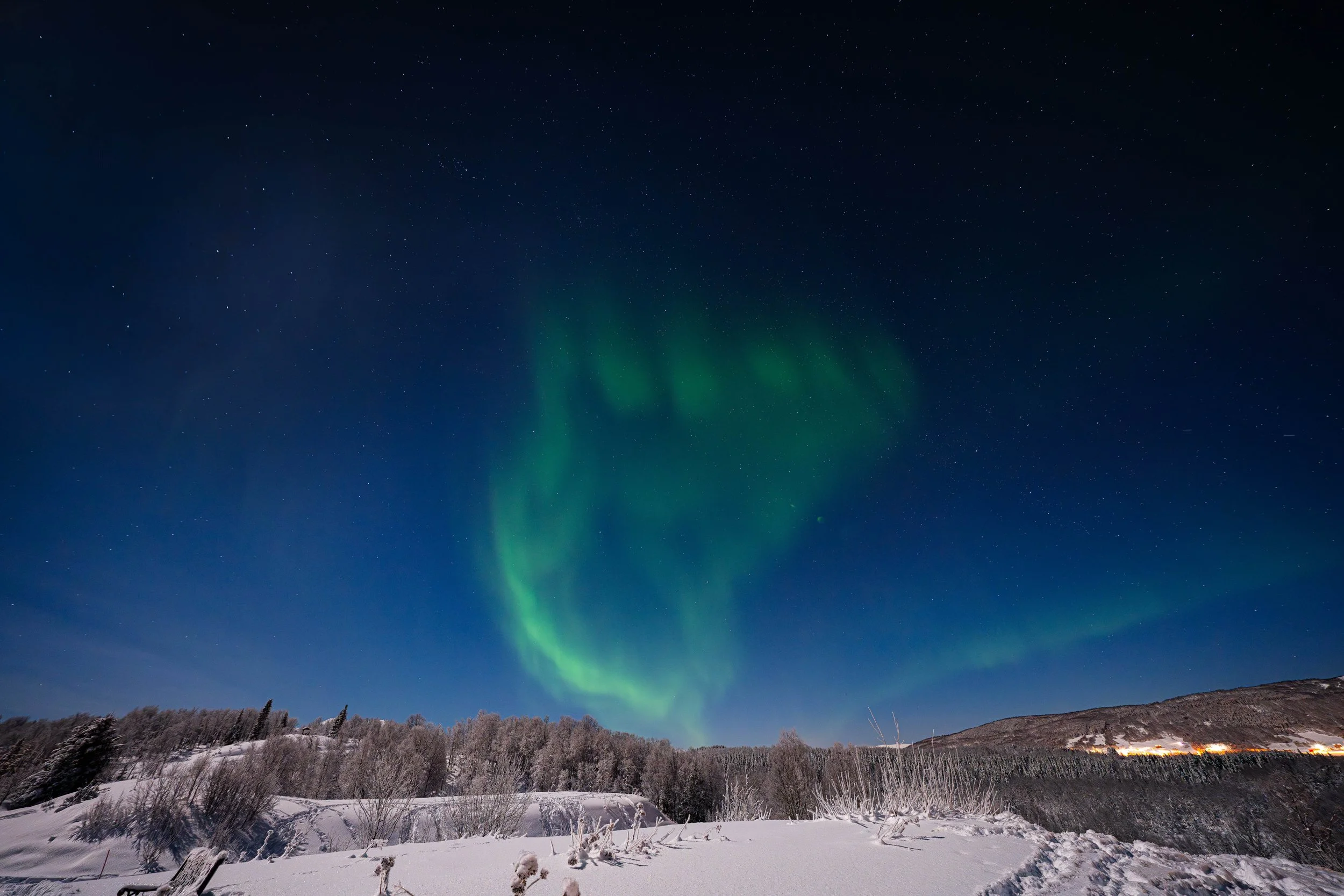 _SKY0485.jpg