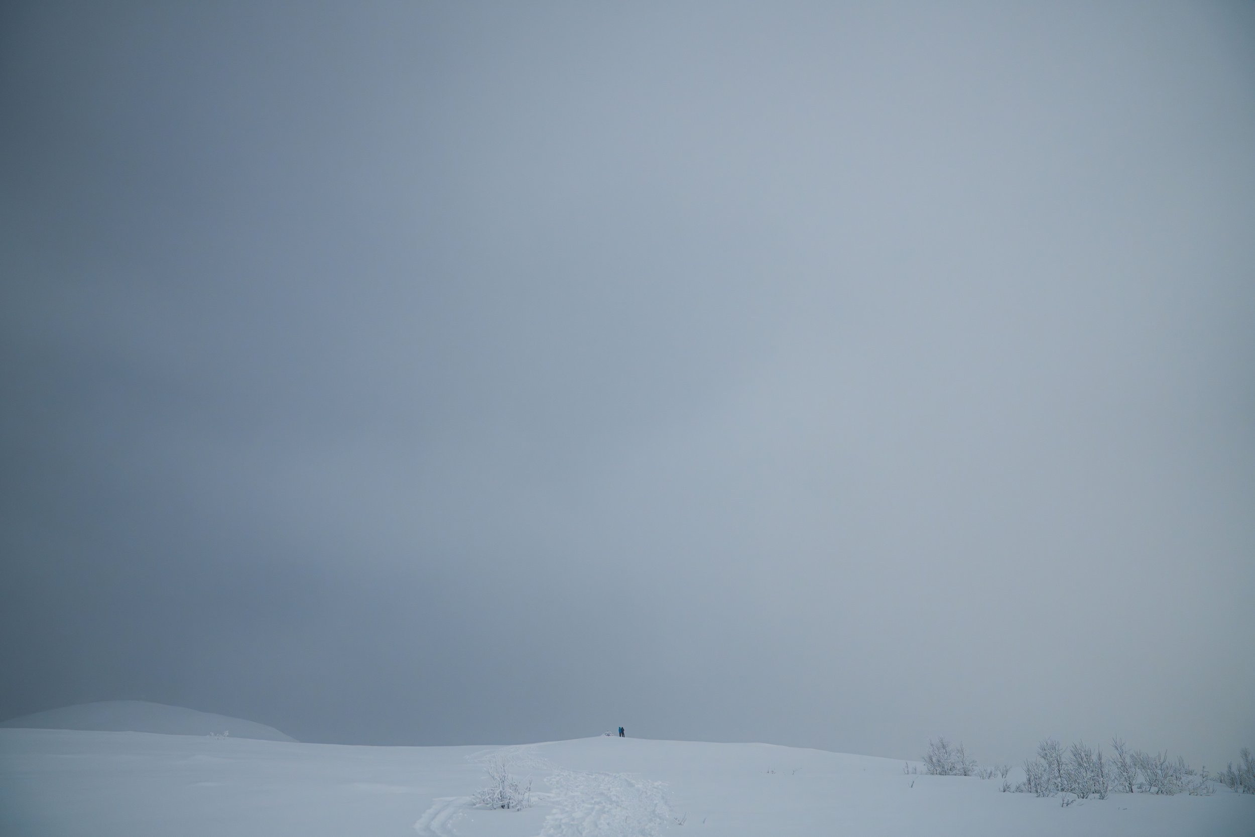 _SKY9880.jpg