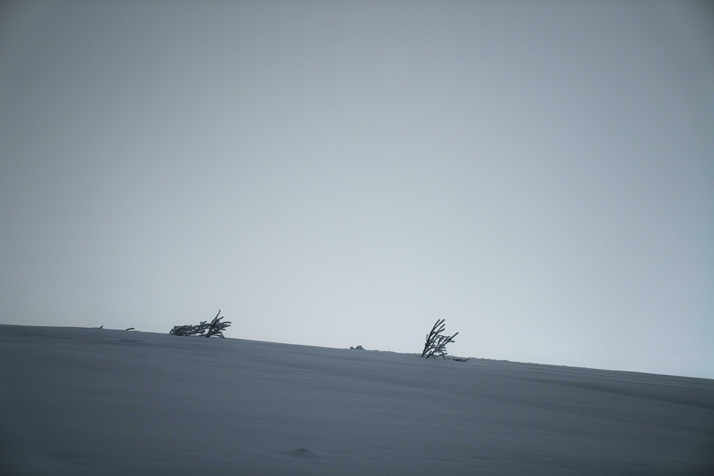 _SKY9866.jpg