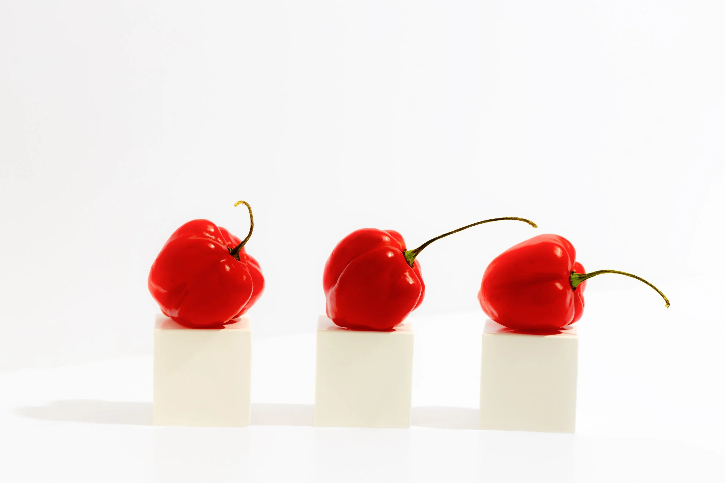 8E6A8360-2.2-Edit copy.jpg