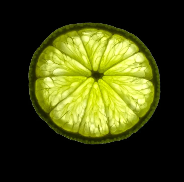One Lime Slice 1.0.jpg