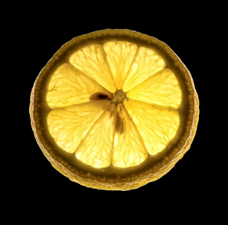 One Lemon Slice 2.0 copy.jpg