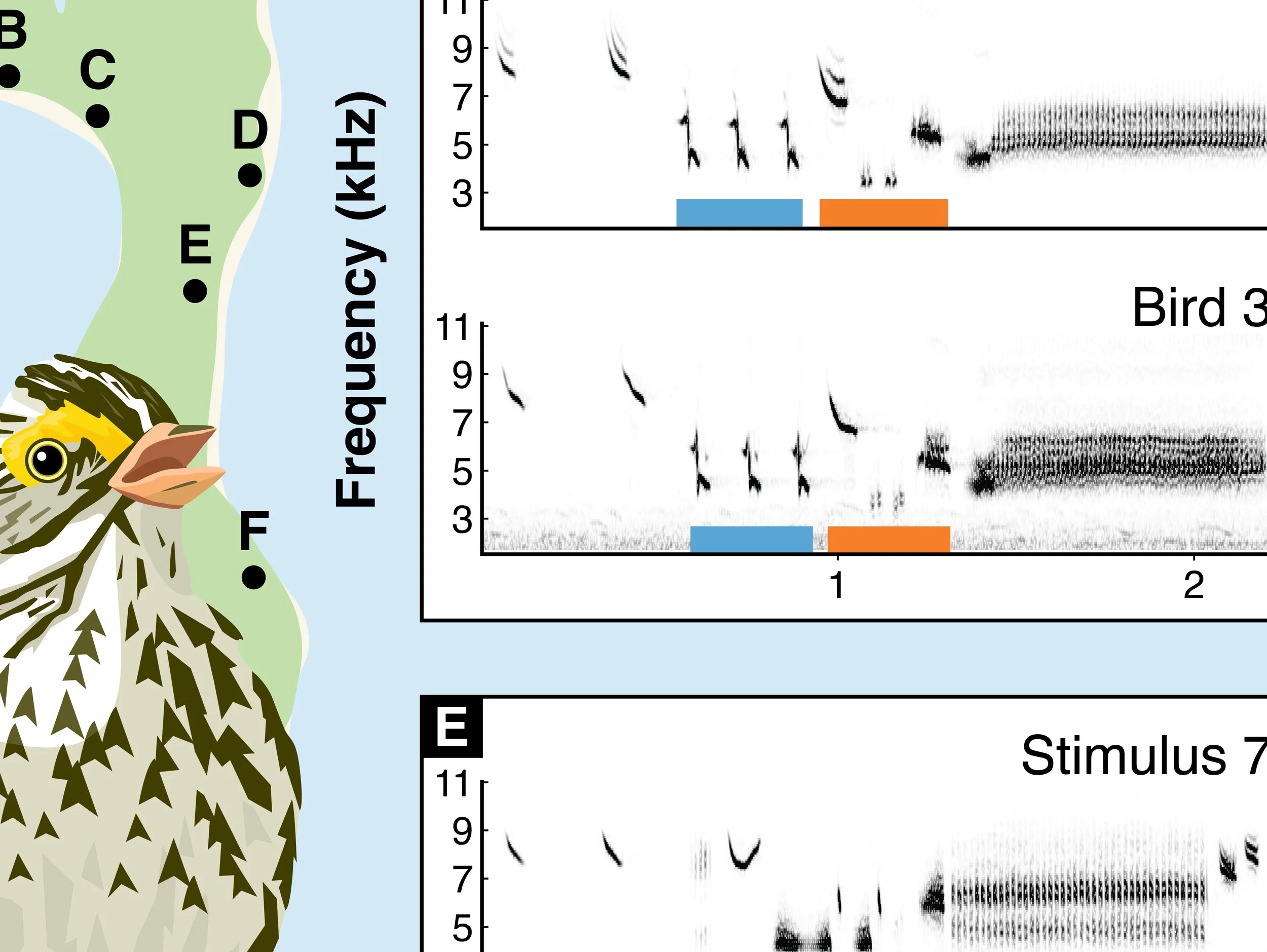 University of Windsor