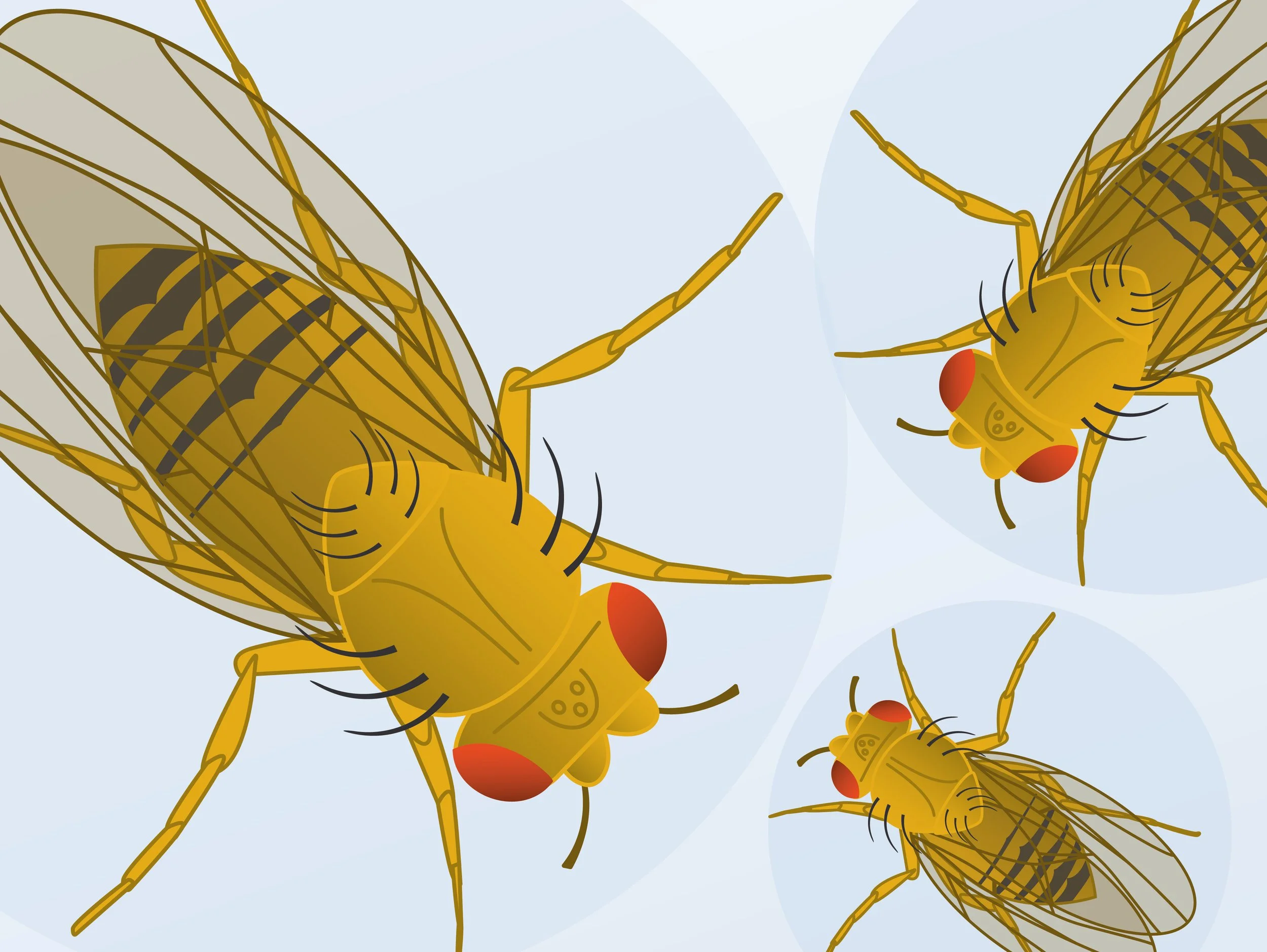 University of Guelph, Integrative Biology