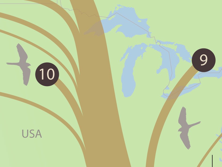 University of Alberta