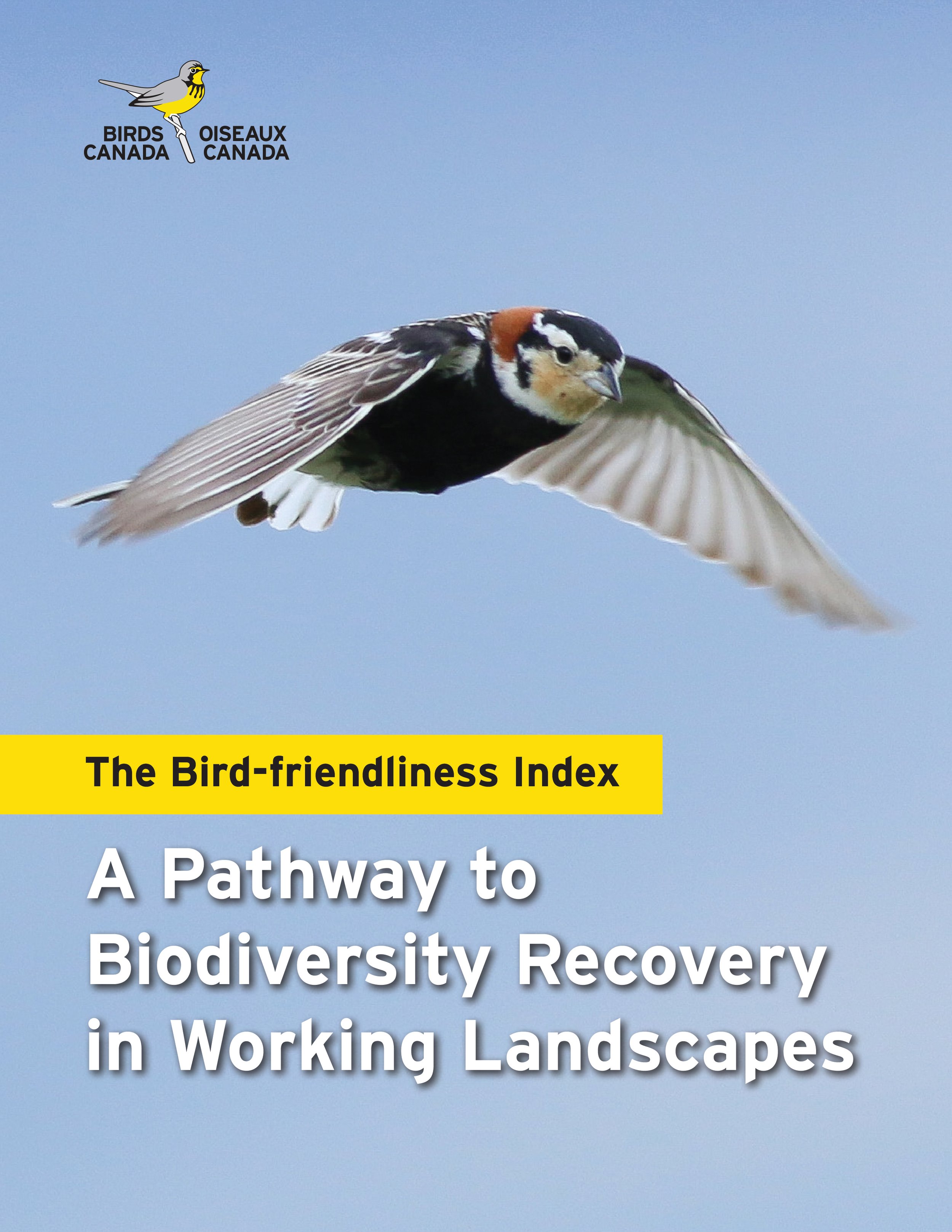 Report communicating why the Bird-friendliness Index is needed and how it works.