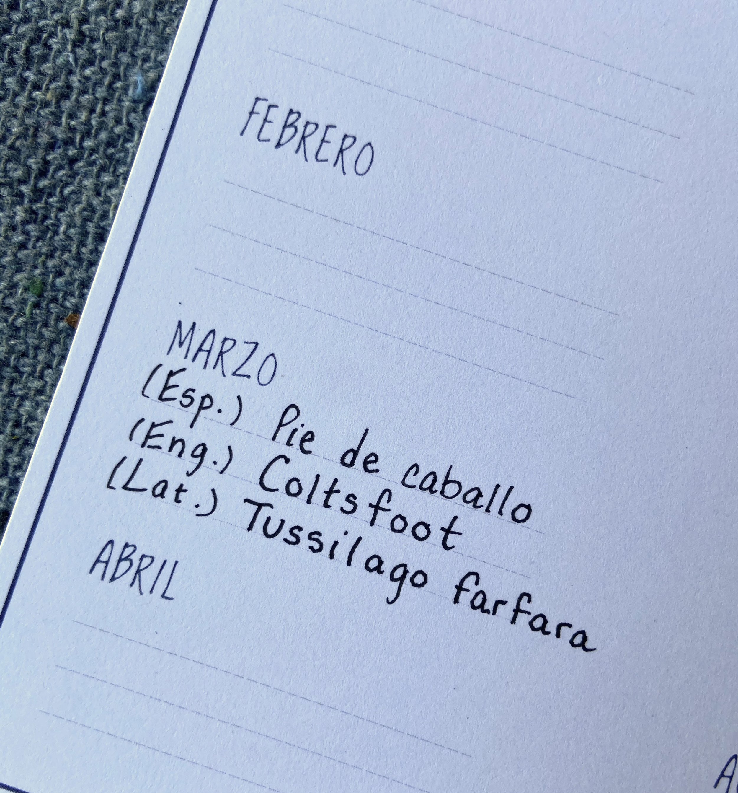 label_marzo.jpg