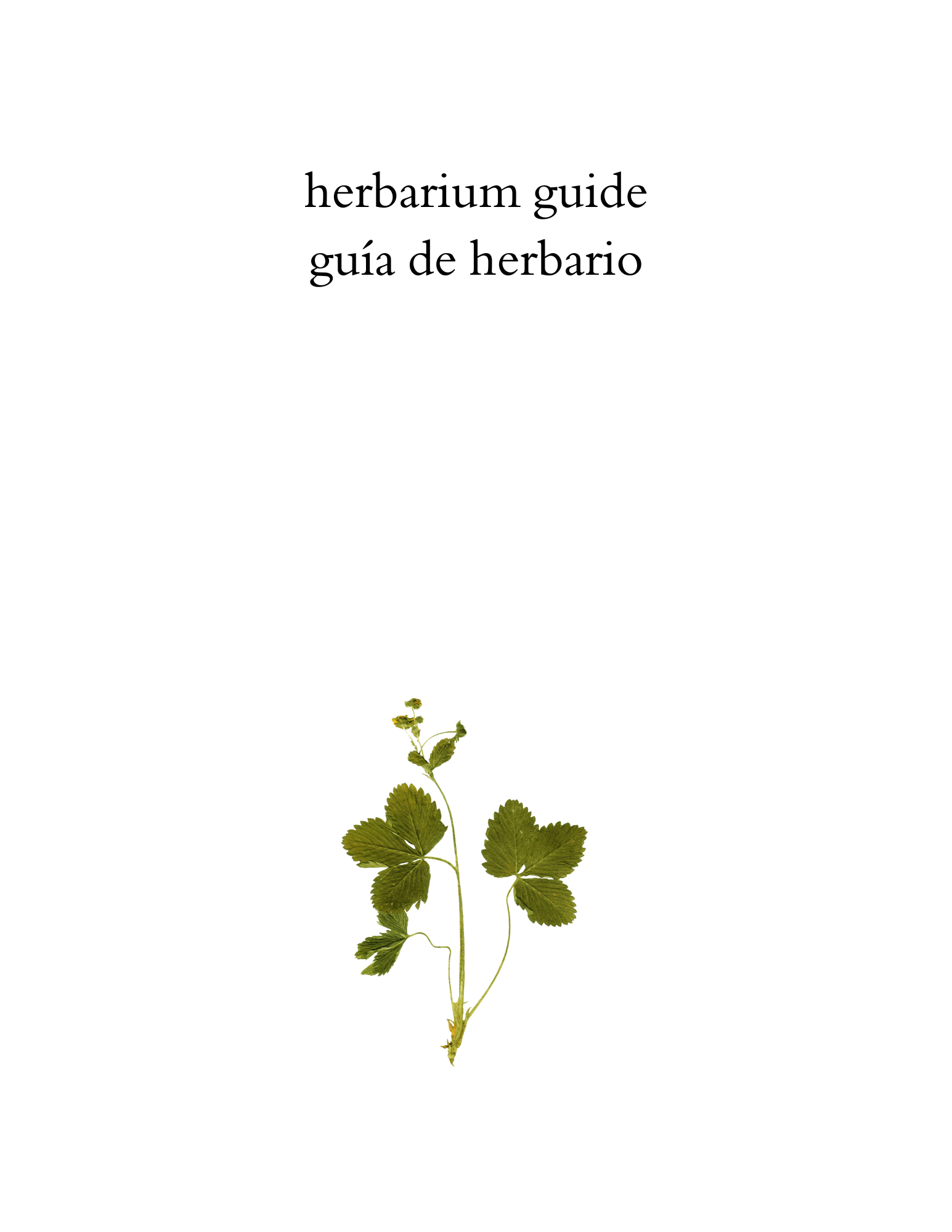Herbarium_guide_UTM.png