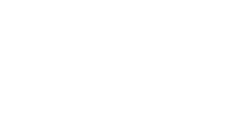 Imagem de um cachorro brincando com uma bola azul em um gramado