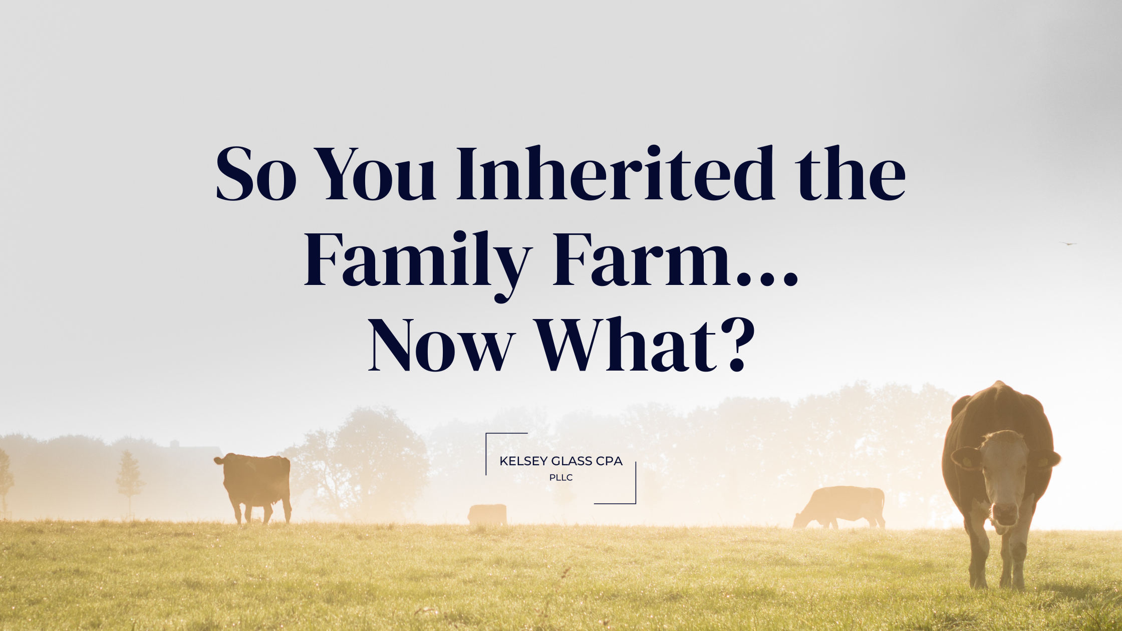 Inheriting Property: What You Should Know Before You Sell — Kelsey ...