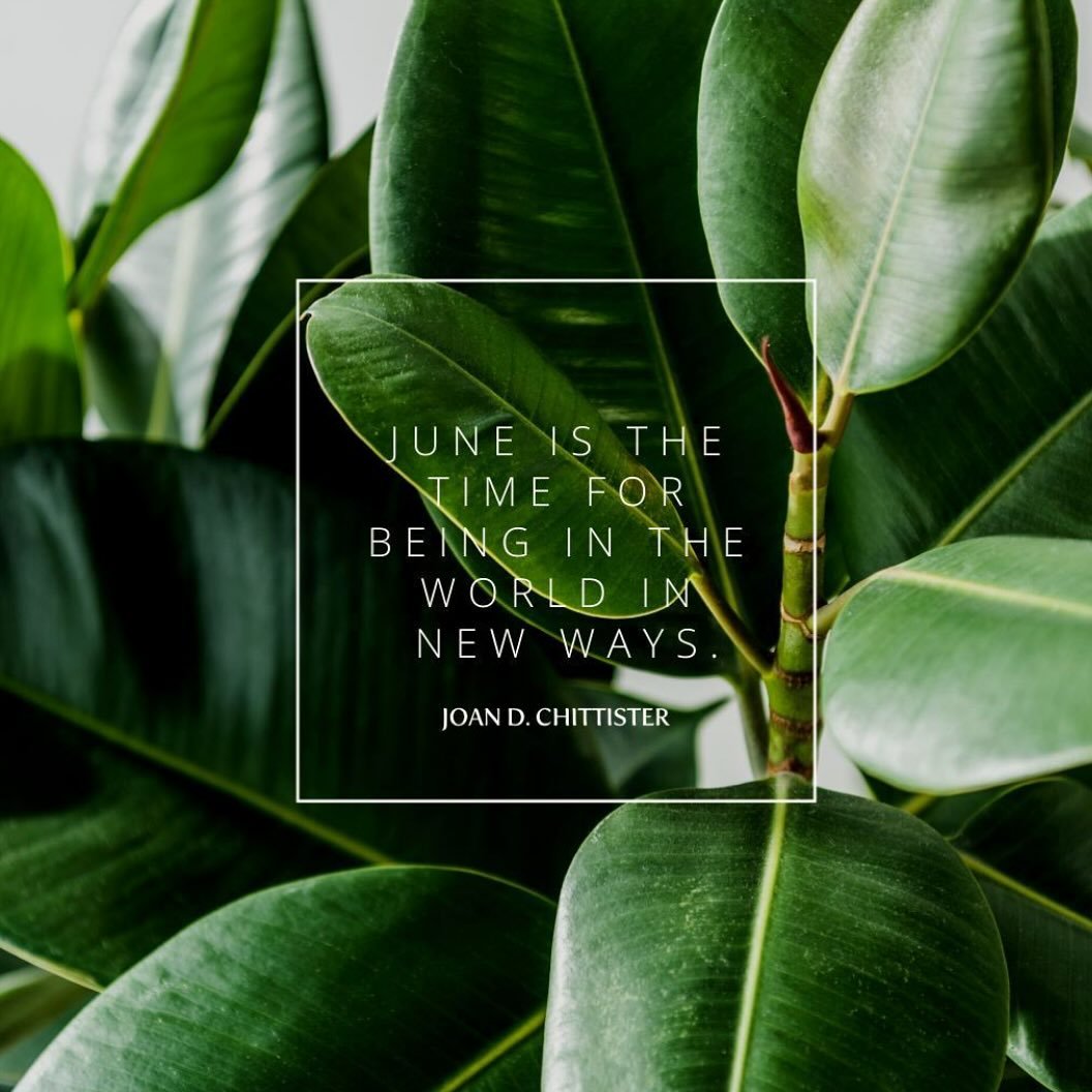 How can you be in the world in new ways for the remainder of this month? The year is HALFway thru now - what are your goals for the 2nd half??