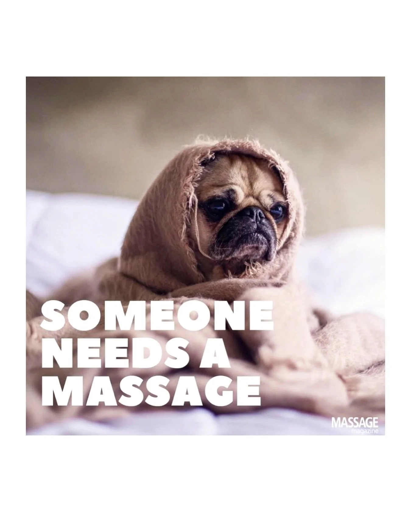 Feeling ruff? Has your back been barkin? Don't keep yapping about it, call us today and book a massage: 407-366-6770. We'll turn your dog days into doggone amazing days!