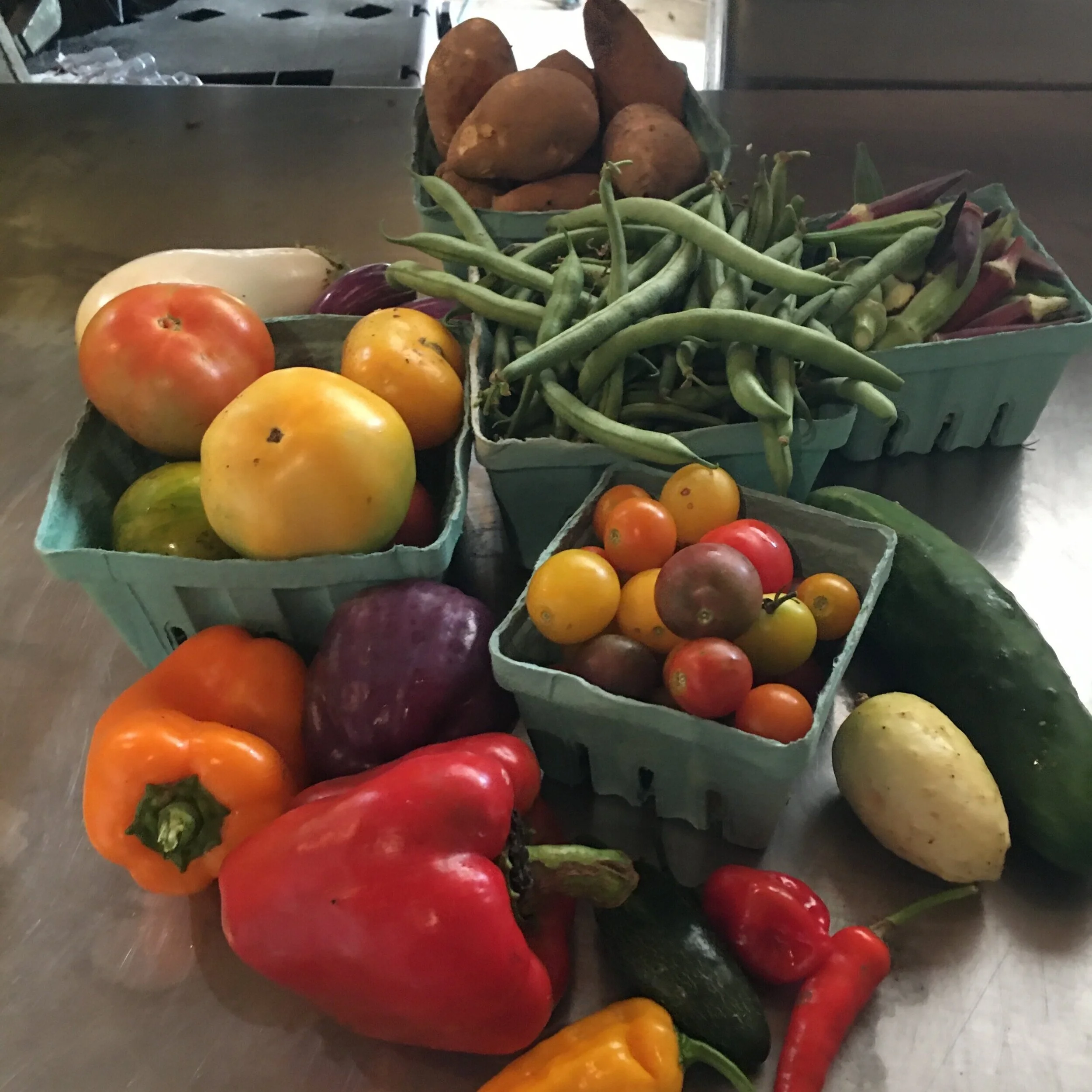 Harmony Fields Farm photo 4