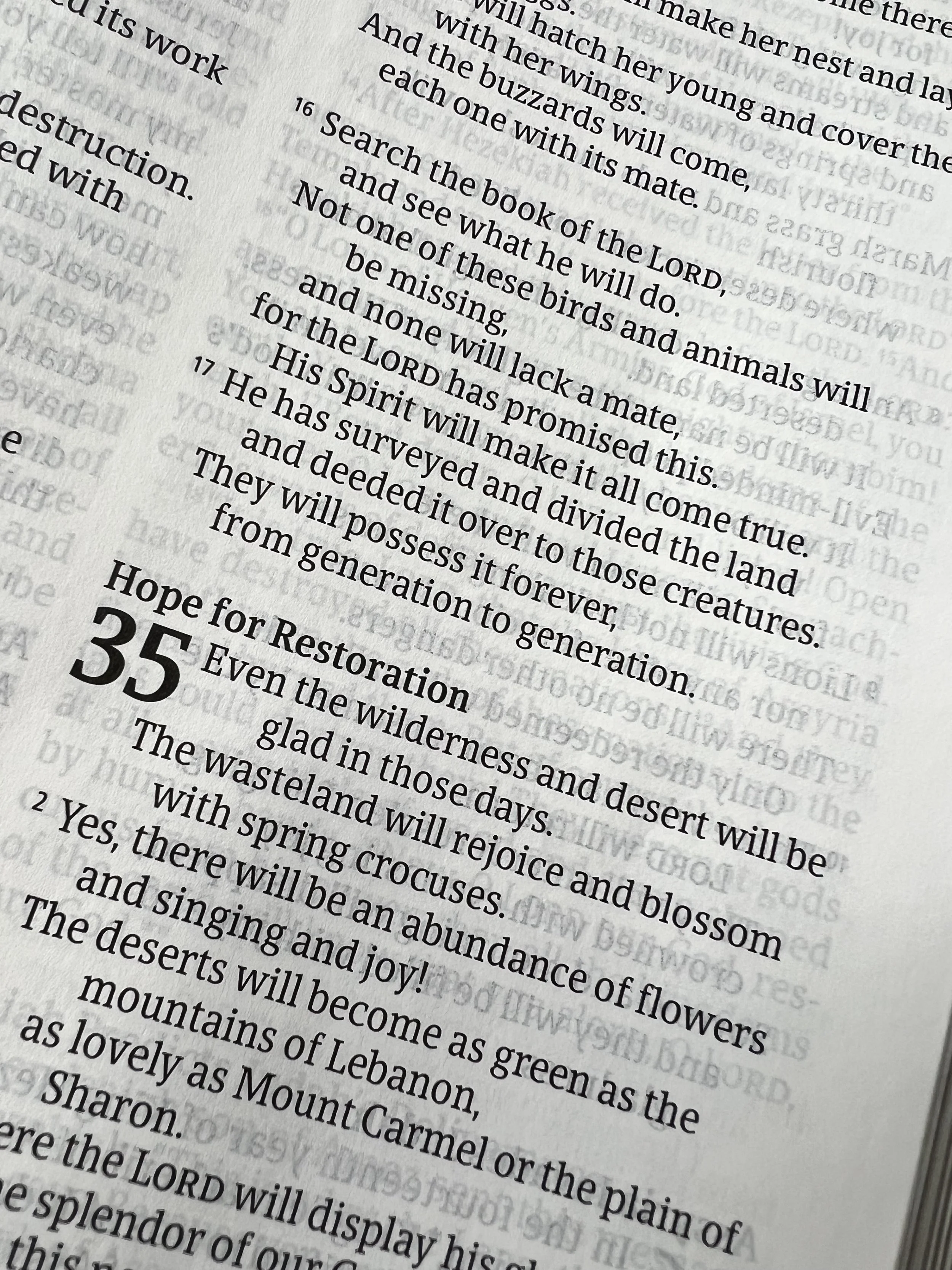 What I Thought Restoration Meant (Part 3)