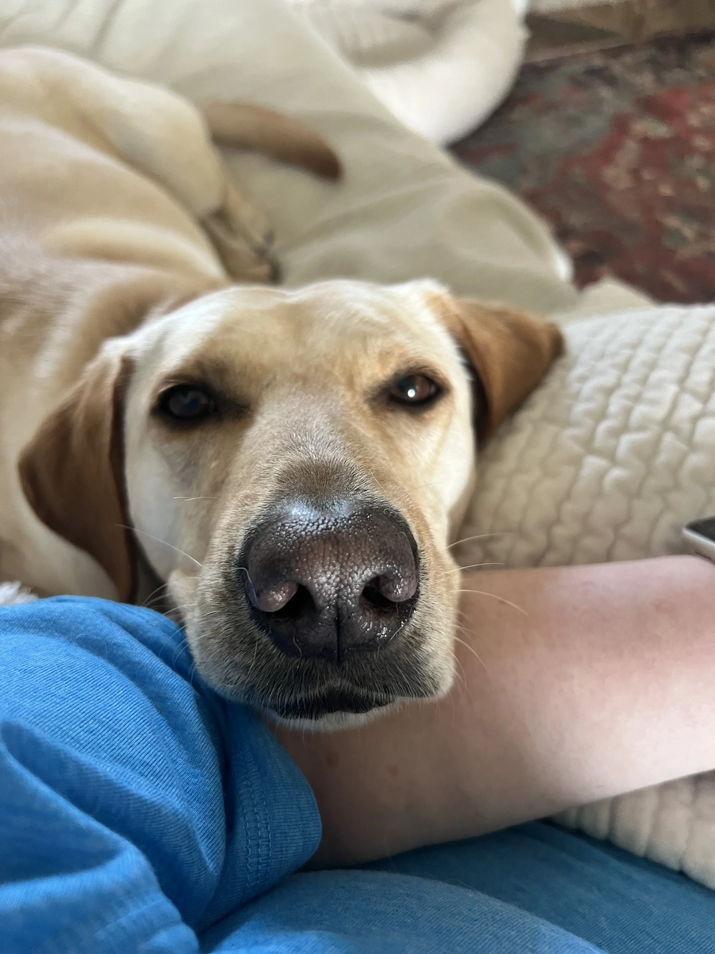 She Chose Me
