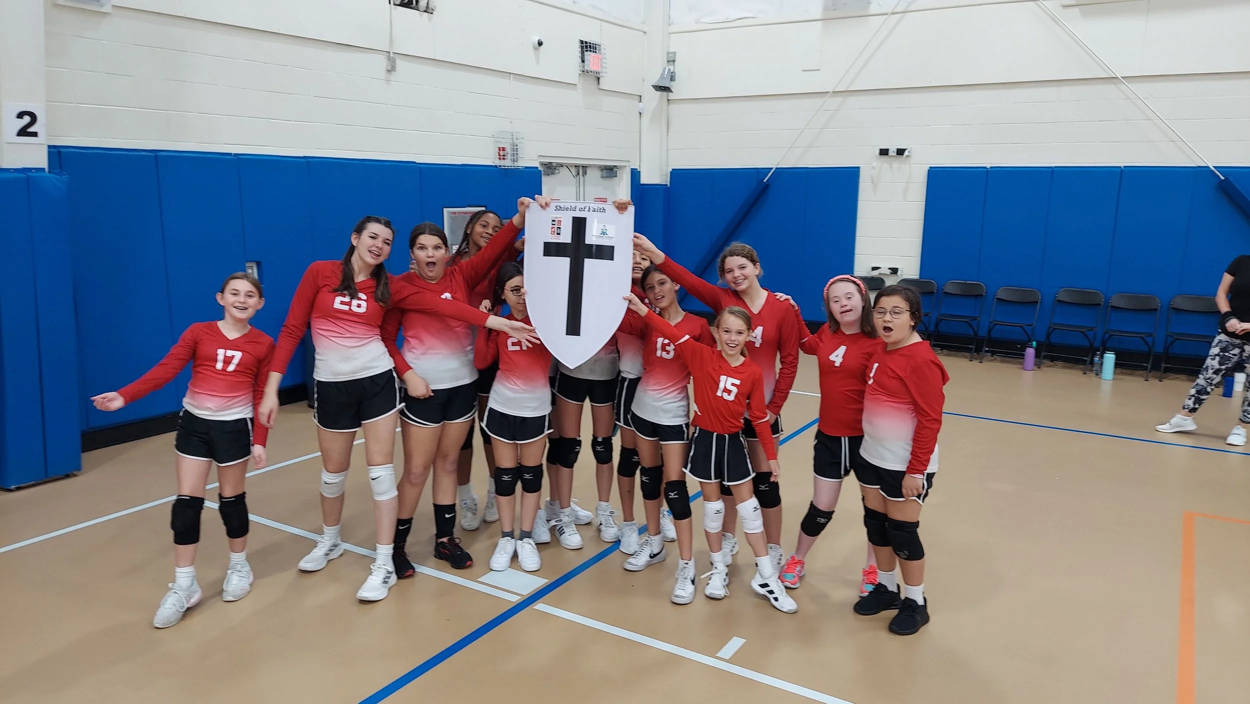 Shield Volleyball.jpg
