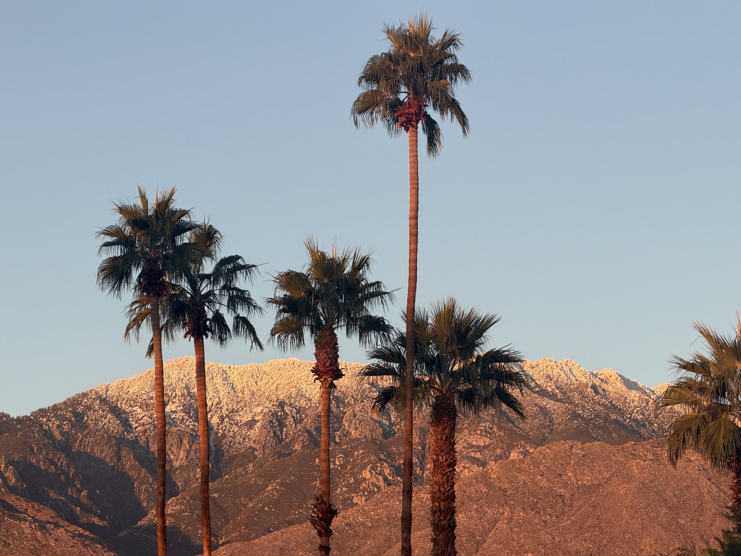 What Palm Springs Actually Feels Like in the Winter (From Locals)