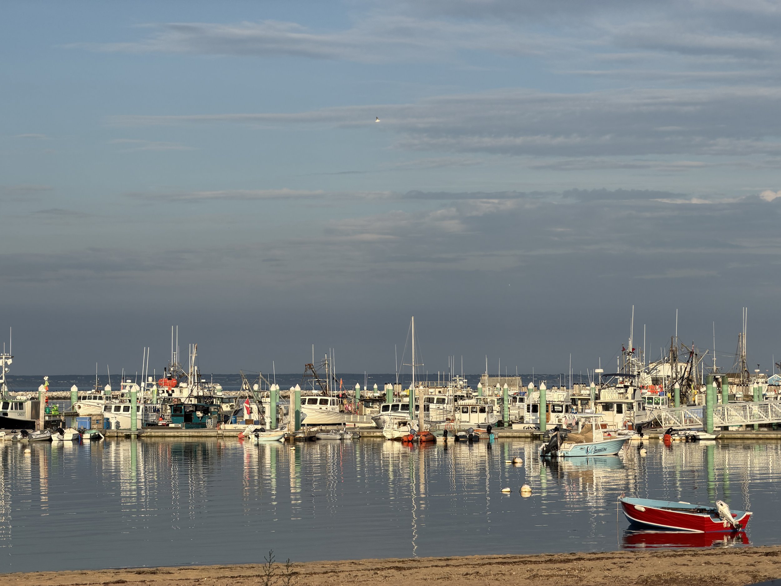 IMG_5563.JPG