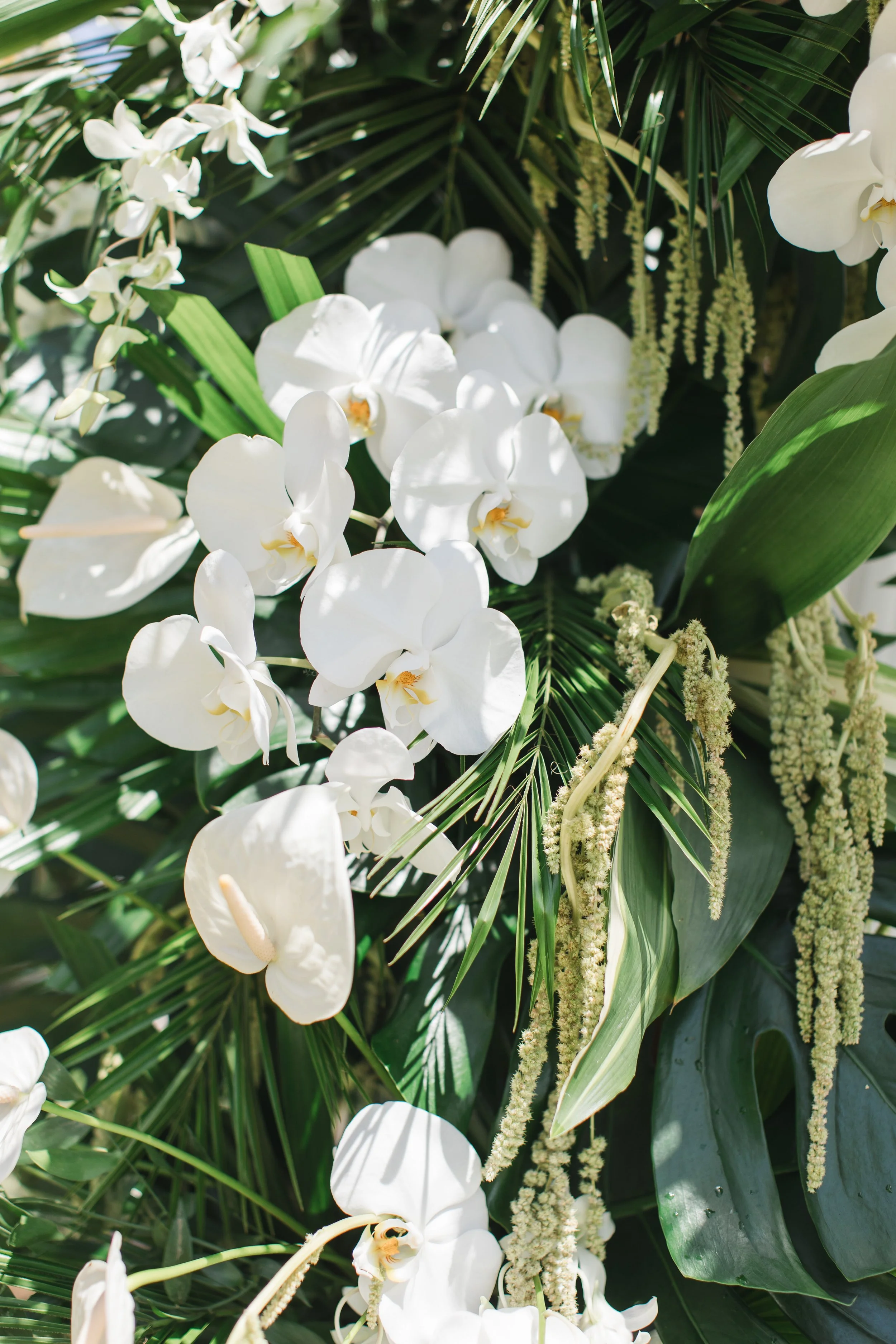 June 28 2025145359.jpg