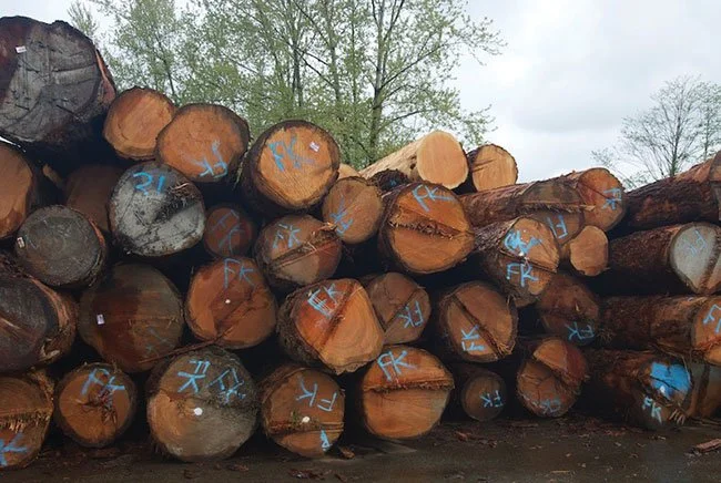 Photo: Annex Business Media