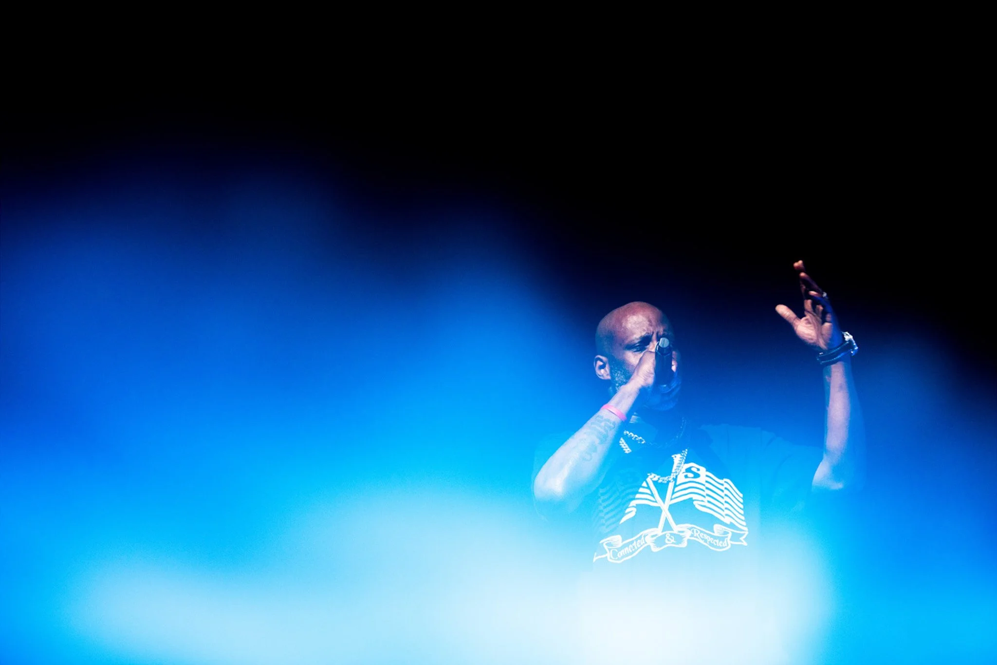  DMX. #5 