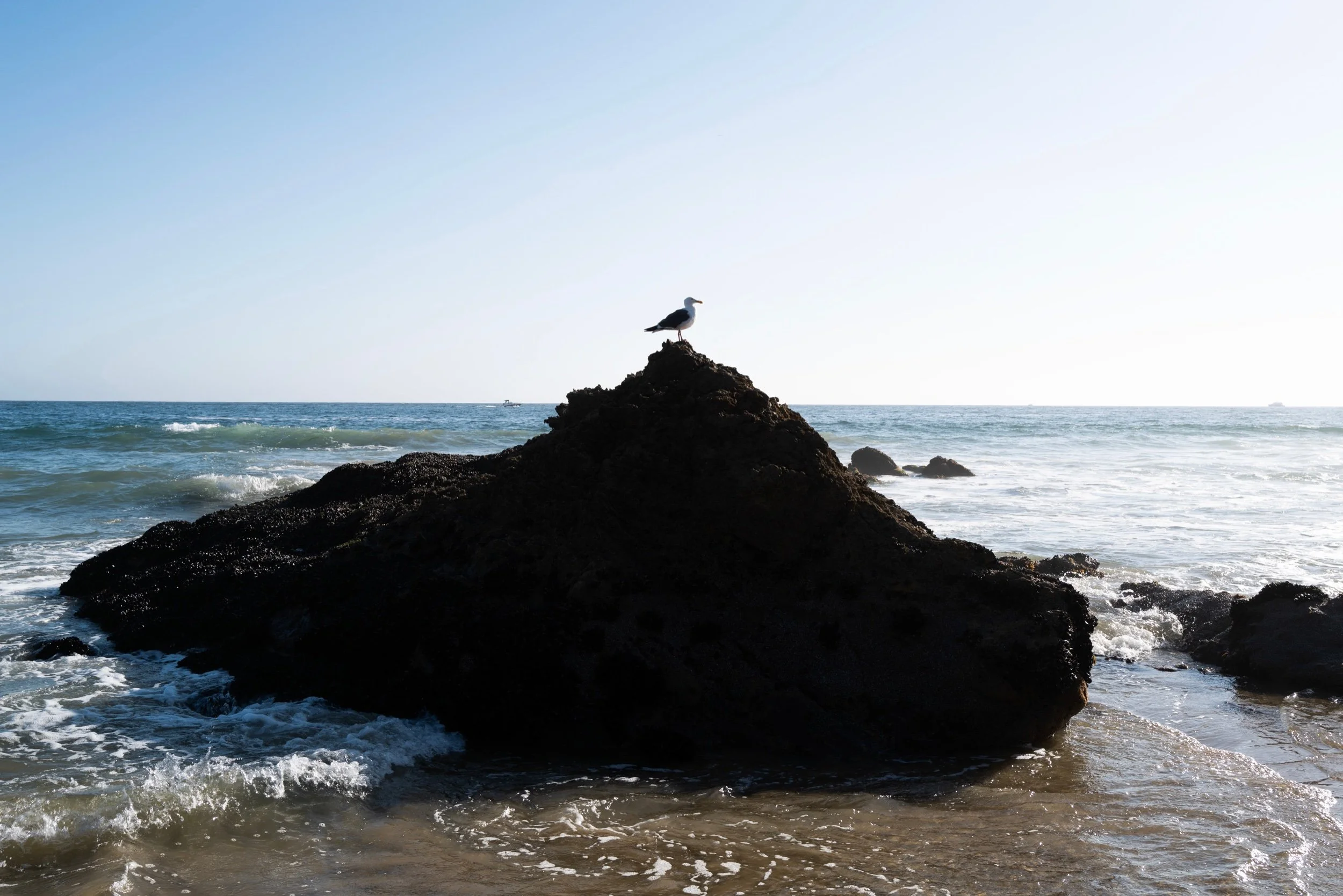 Shaw's Cove, CA.