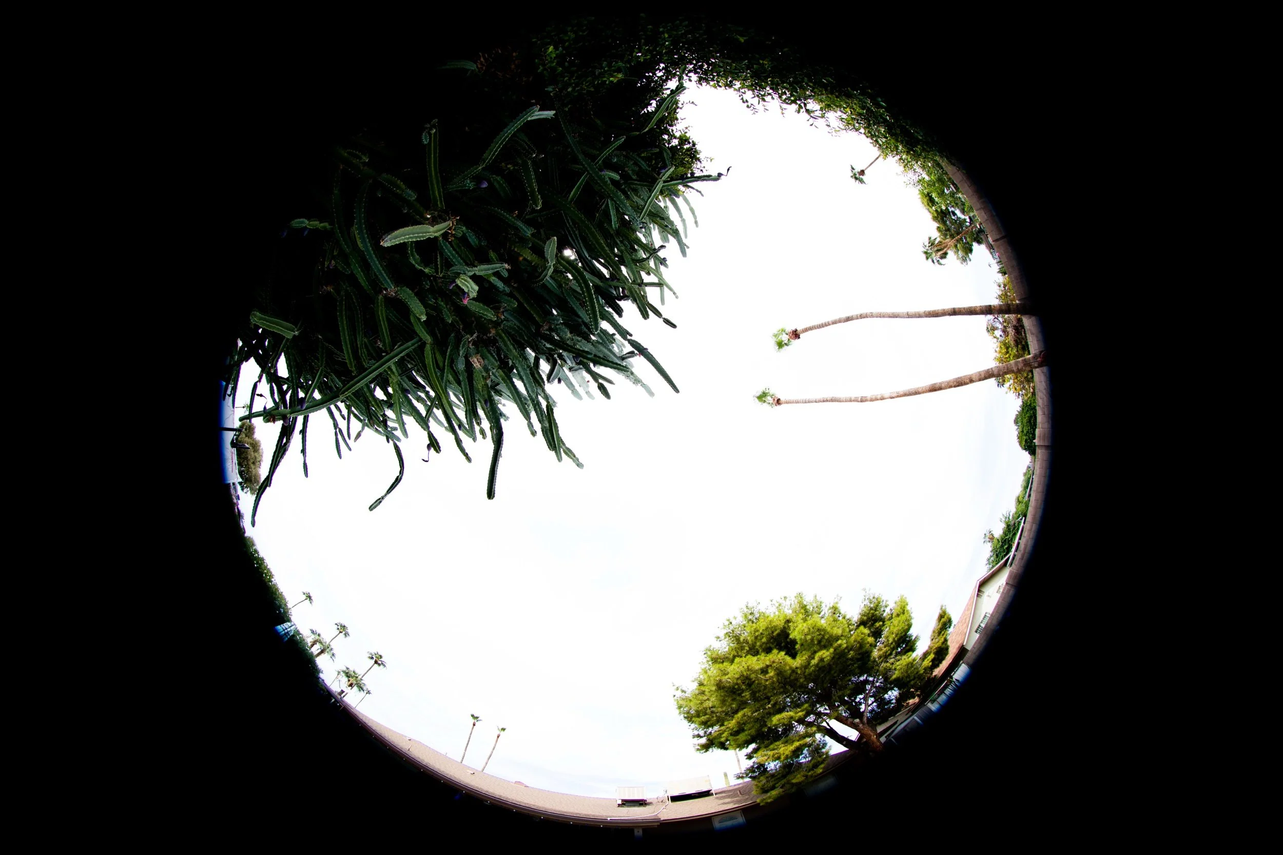 Fisheye/AZ.